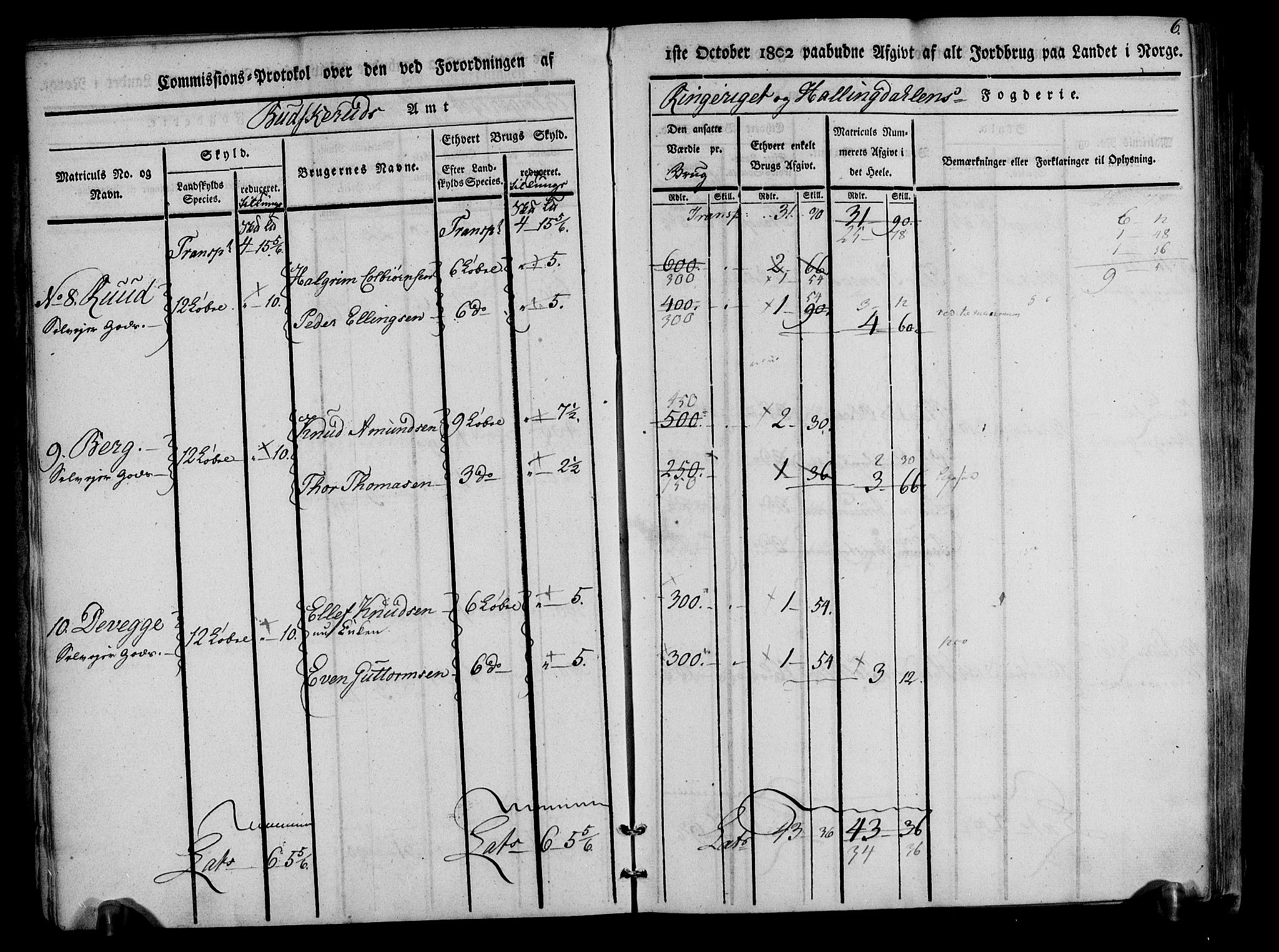 Rentekammeret inntil 1814, Realistisk ordnet avdeling, AV/RA-EA-4070/N/Ne/Nea/L0047: Ringerike og Hallingdal fogderi. Kommisjonsprotokoll for Nes prestegjeld, 1803, p. 7