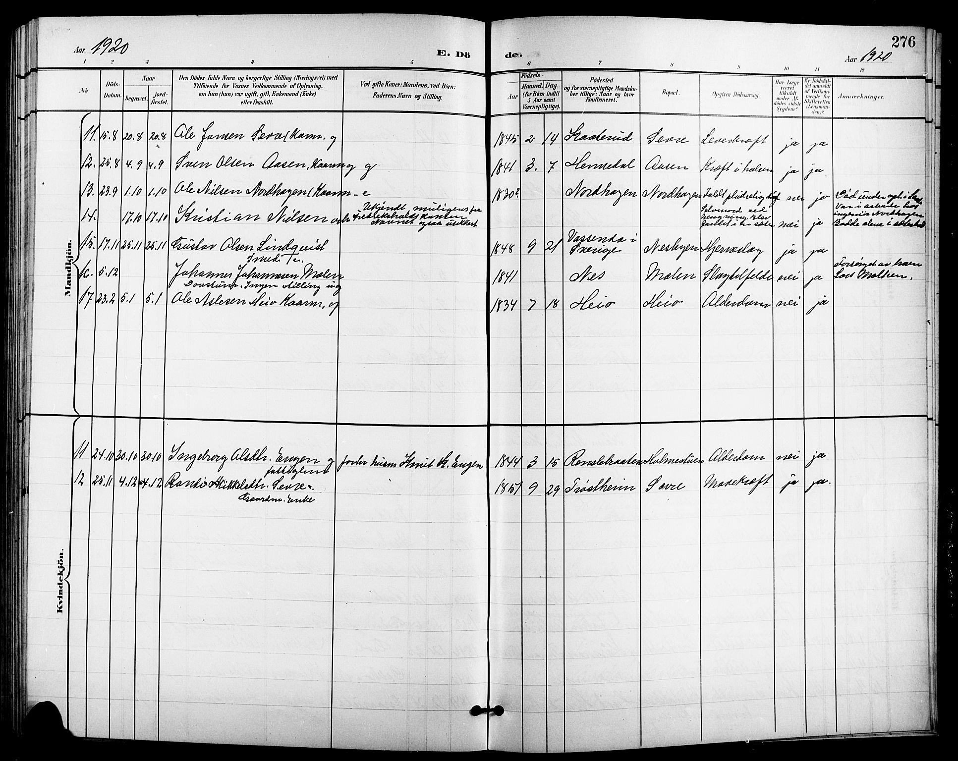 Nes kirkebøker, AV/SAKO-A-236/G/Ga/L0004: Parish register (copy) no. I 4, 1900-1925, p. 276