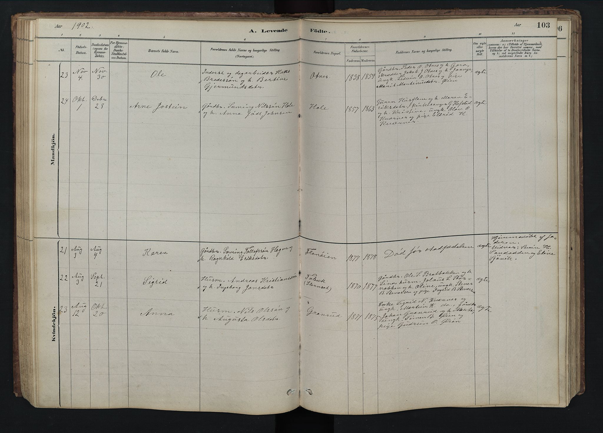 Rendalen prestekontor, SAH/PREST-054/H/Ha/Hab/L0009: Parish register (copy) no. 9, 1879-1902, p. 103