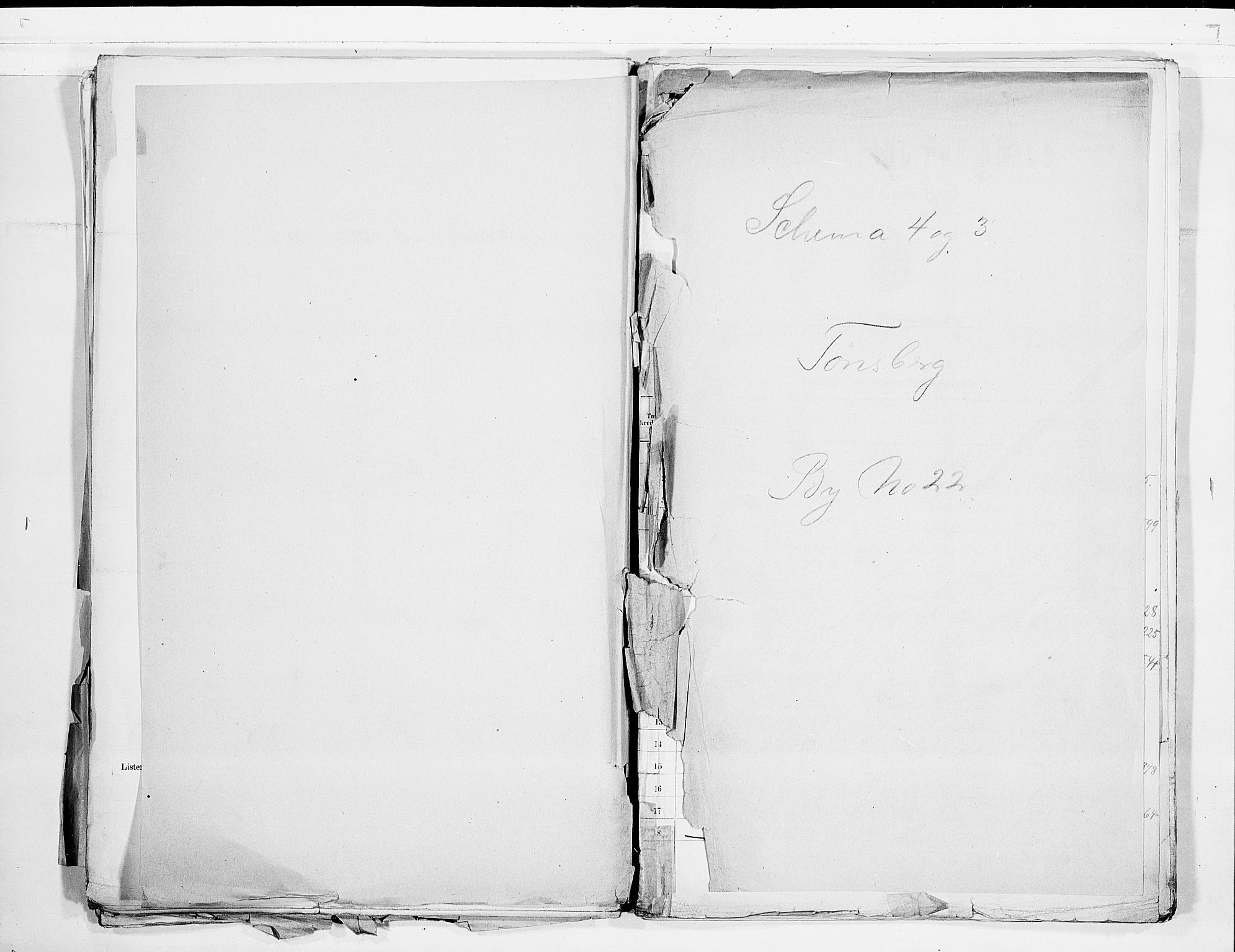 RA, 1900 census for Tønsberg, 1900, p. 1