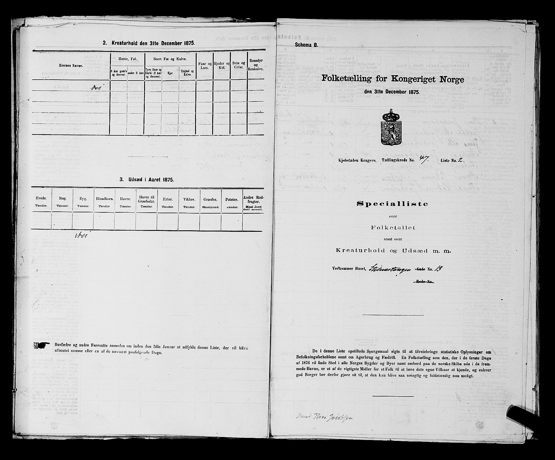 SAKO, 1875 census for 0801P Kragerø, 1875, p. 1038