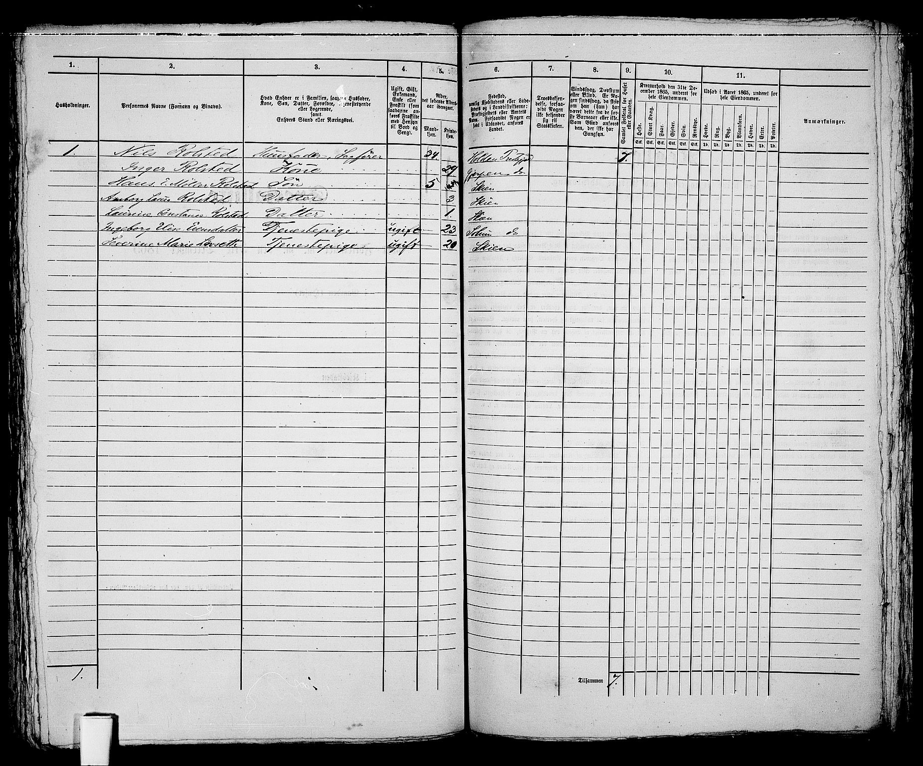 RA, 1865 census for Skien, 1865, p. 293