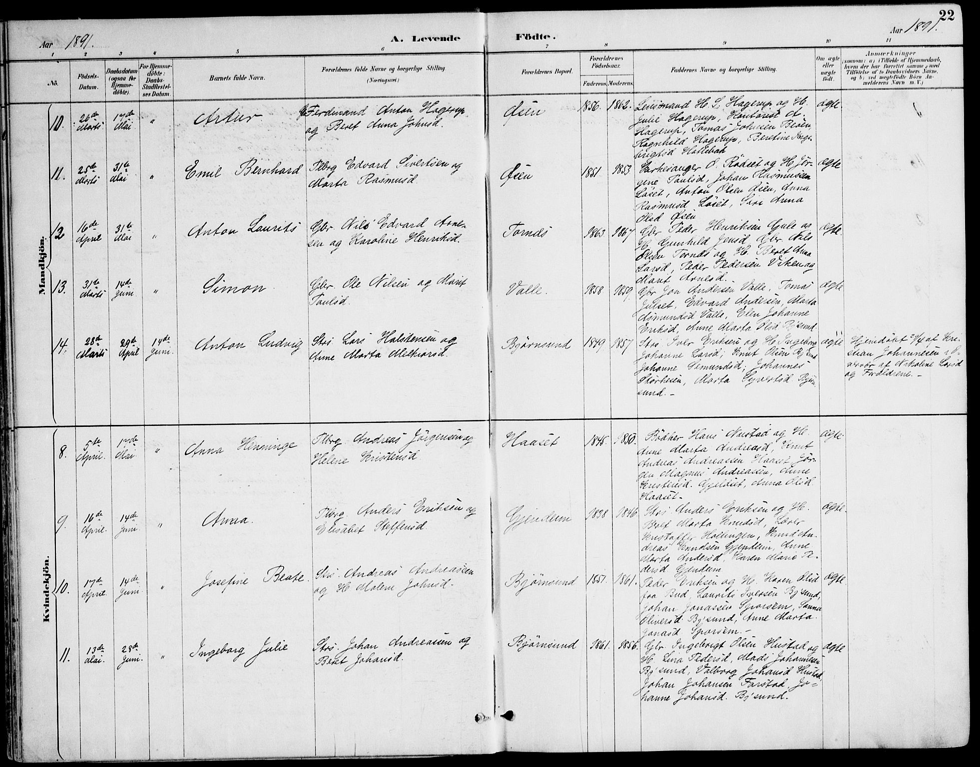 Ministerialprotokoller, klokkerbøker og fødselsregistre - Møre og Romsdal, SAT/A-1454/565/L0750: Parish register (official) no. 565A04, 1887-1905, p. 22