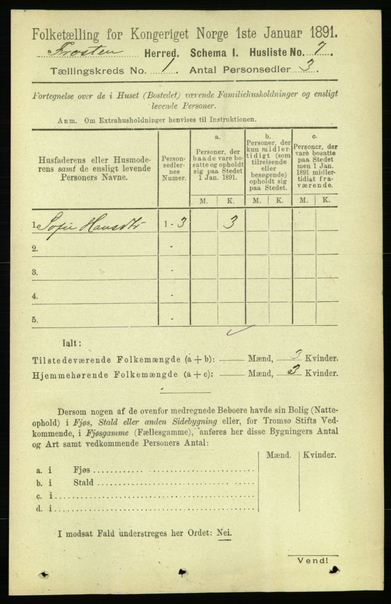 RA, 1891 census for 1717 Frosta, 1891, p. 29