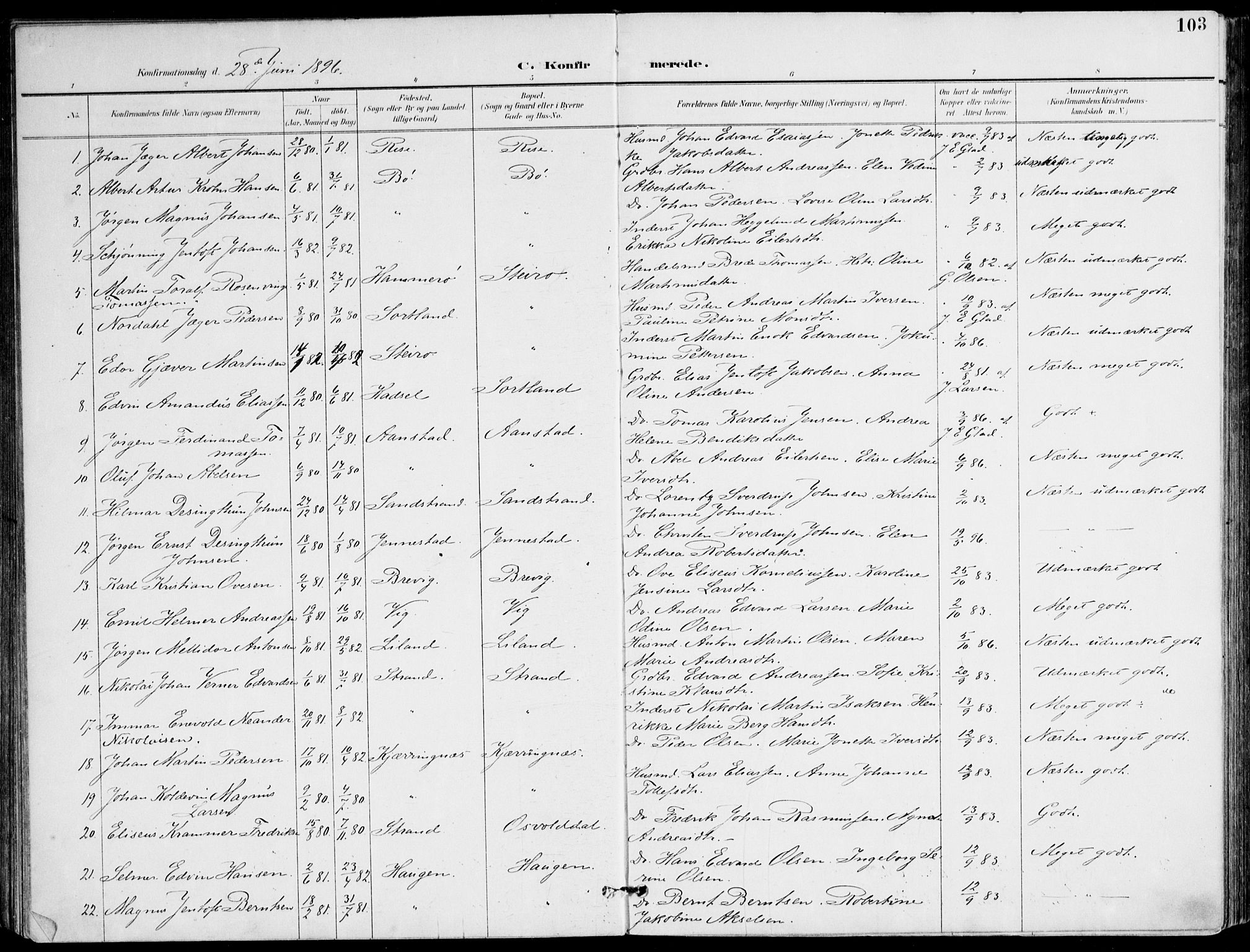 Ministerialprotokoller, klokkerbøker og fødselsregistre - Nordland, AV/SAT-A-1459/895/L1372: Parish register (official) no. 895A07, 1894-1914, p. 103