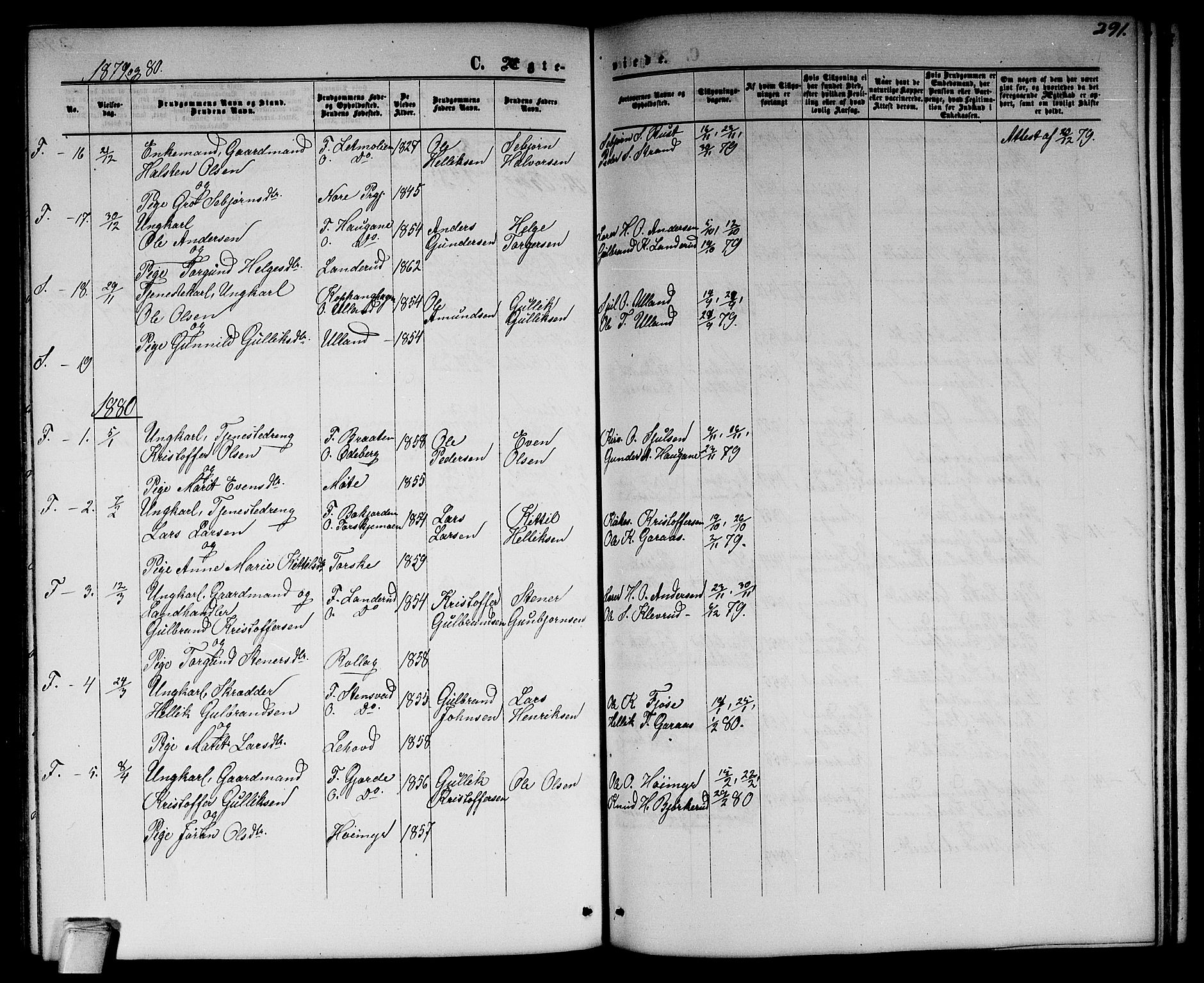 Flesberg kirkebøker, SAKO/A-18/G/Ga/L0003: Parish register (copy) no. I 3, 1861-1889, p. 291