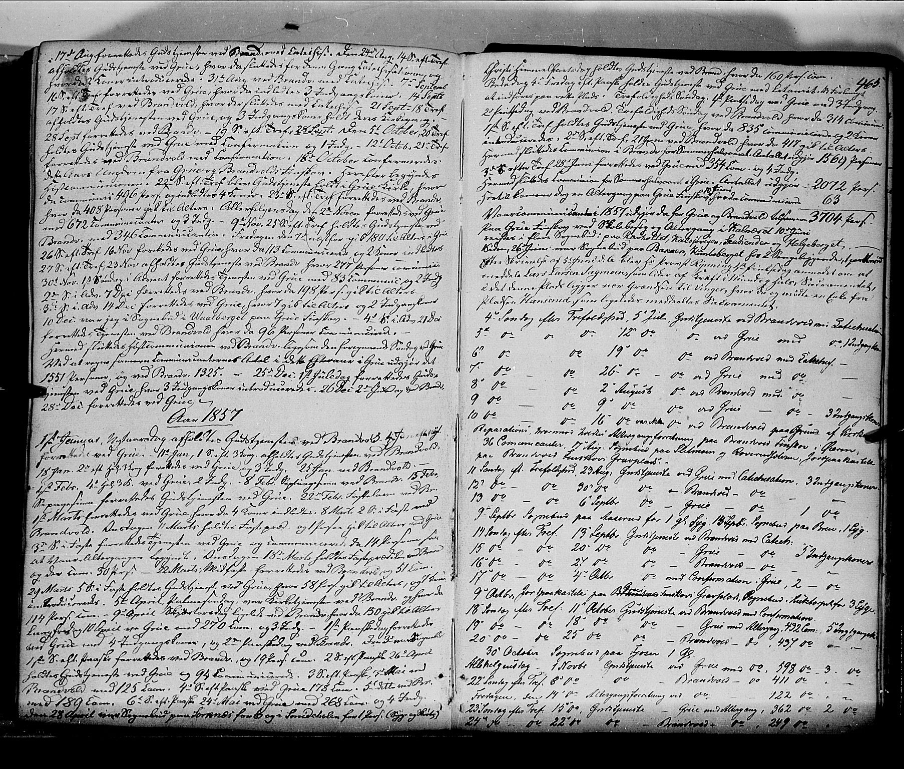 Grue prestekontor, AV/SAH-PREST-036/H/Ha/Haa/L0008: Parish register (official) no. 8, 1847-1858, p. 465