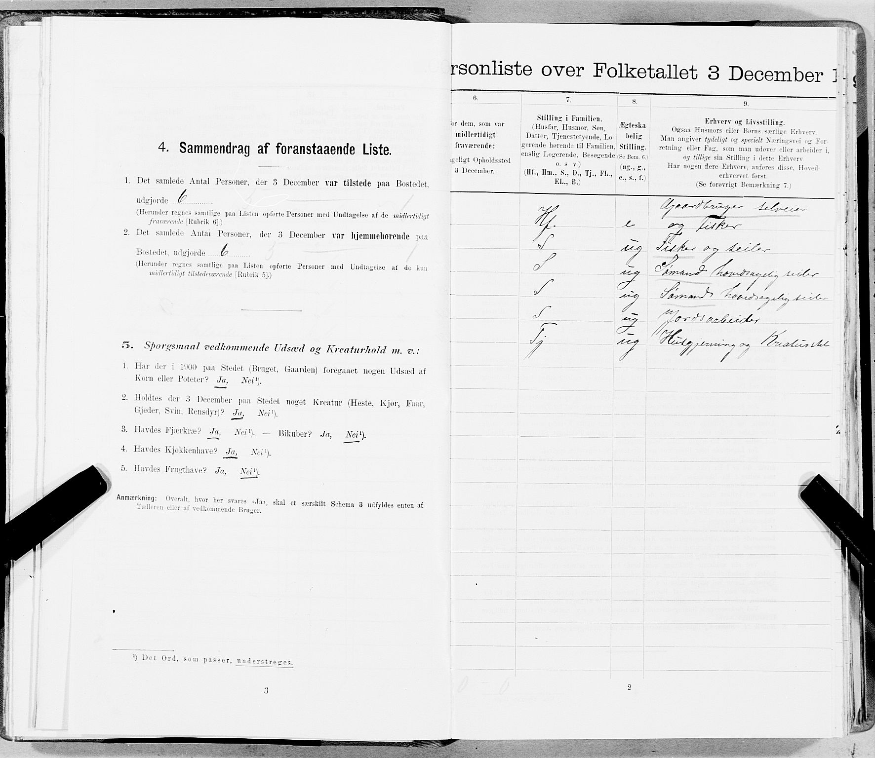 SAT, 1900 census for Fosnes, 1900, p. 113
