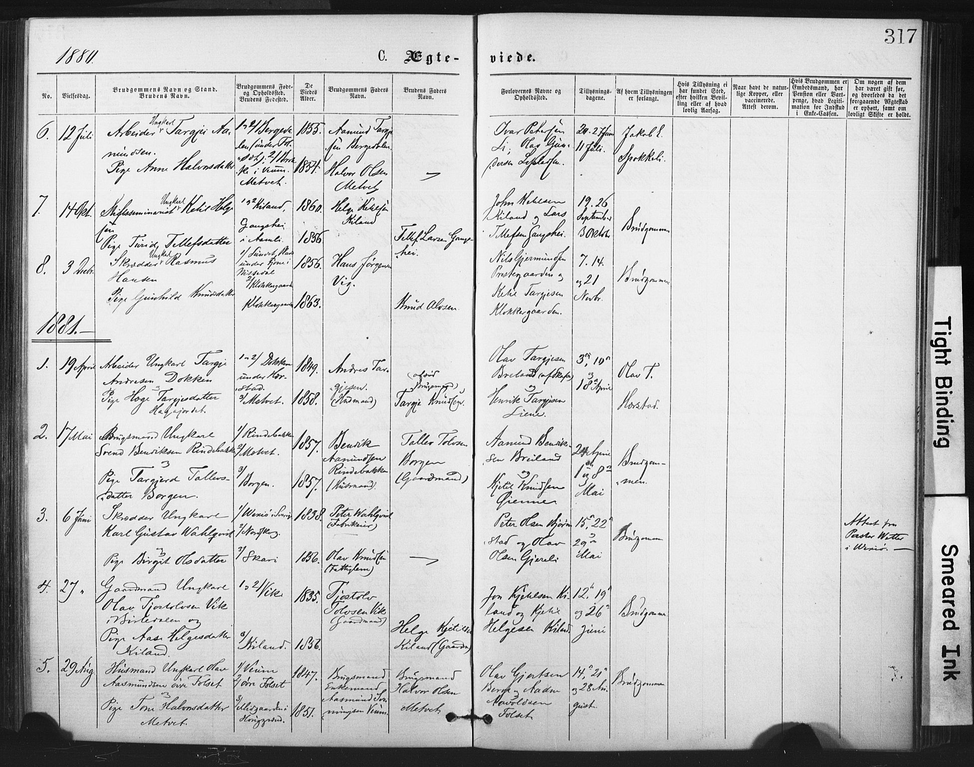 Fyresdal kirkebøker, SAKO/A-263/F/Fa/L0006: Parish register (official) no. I 6, 1872-1886, p. 317