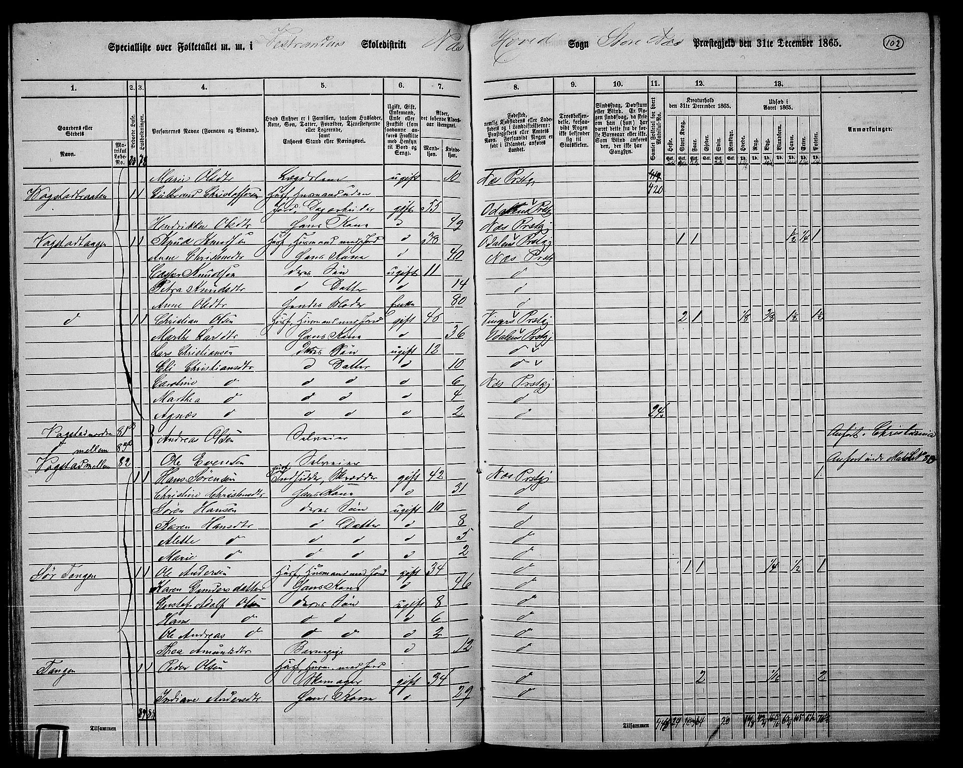 RA, 1865 census for Nes, 1865, p. 94