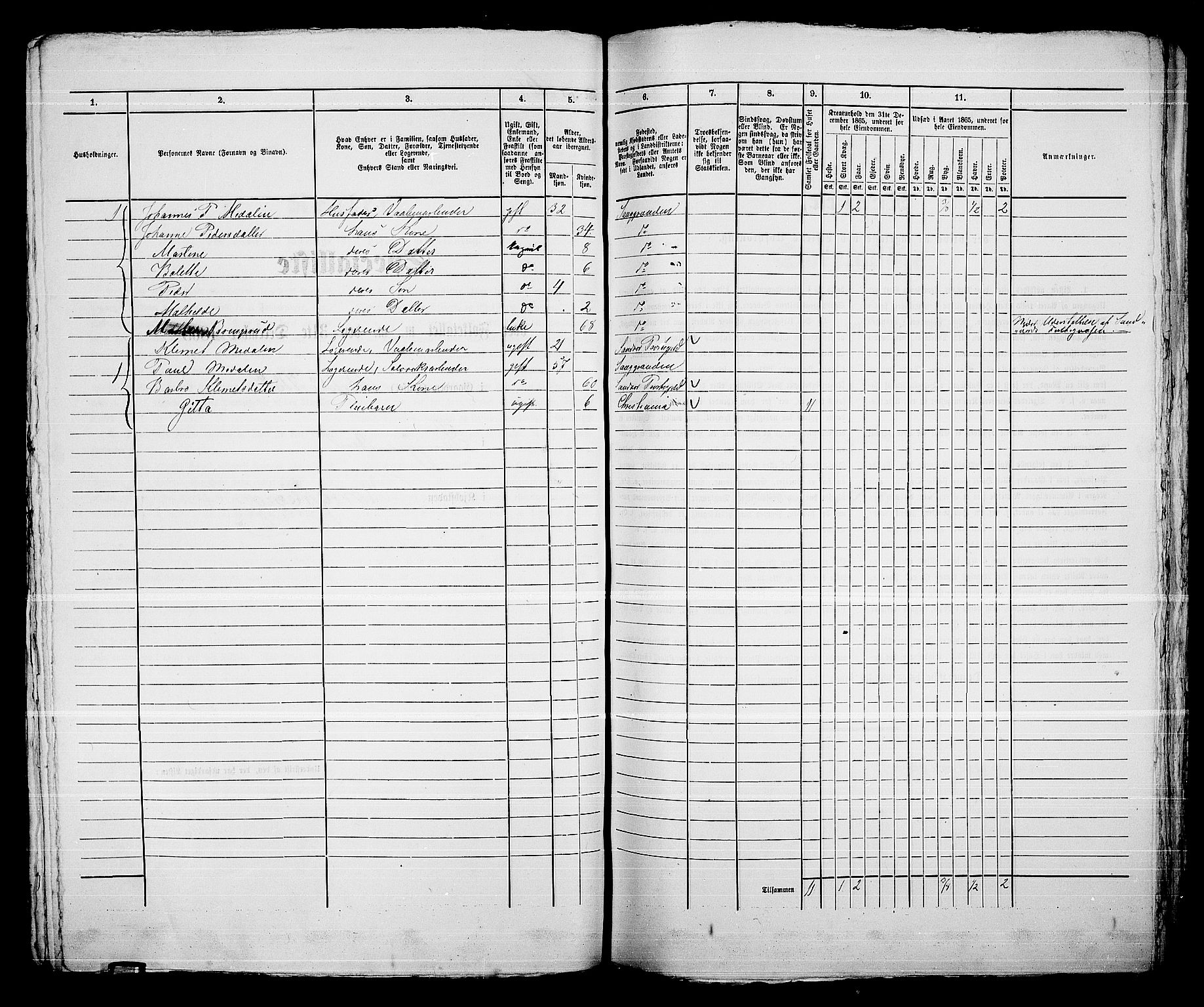 RA, 1865 census for Kongsberg/Kongsberg, 1865, p. 1359