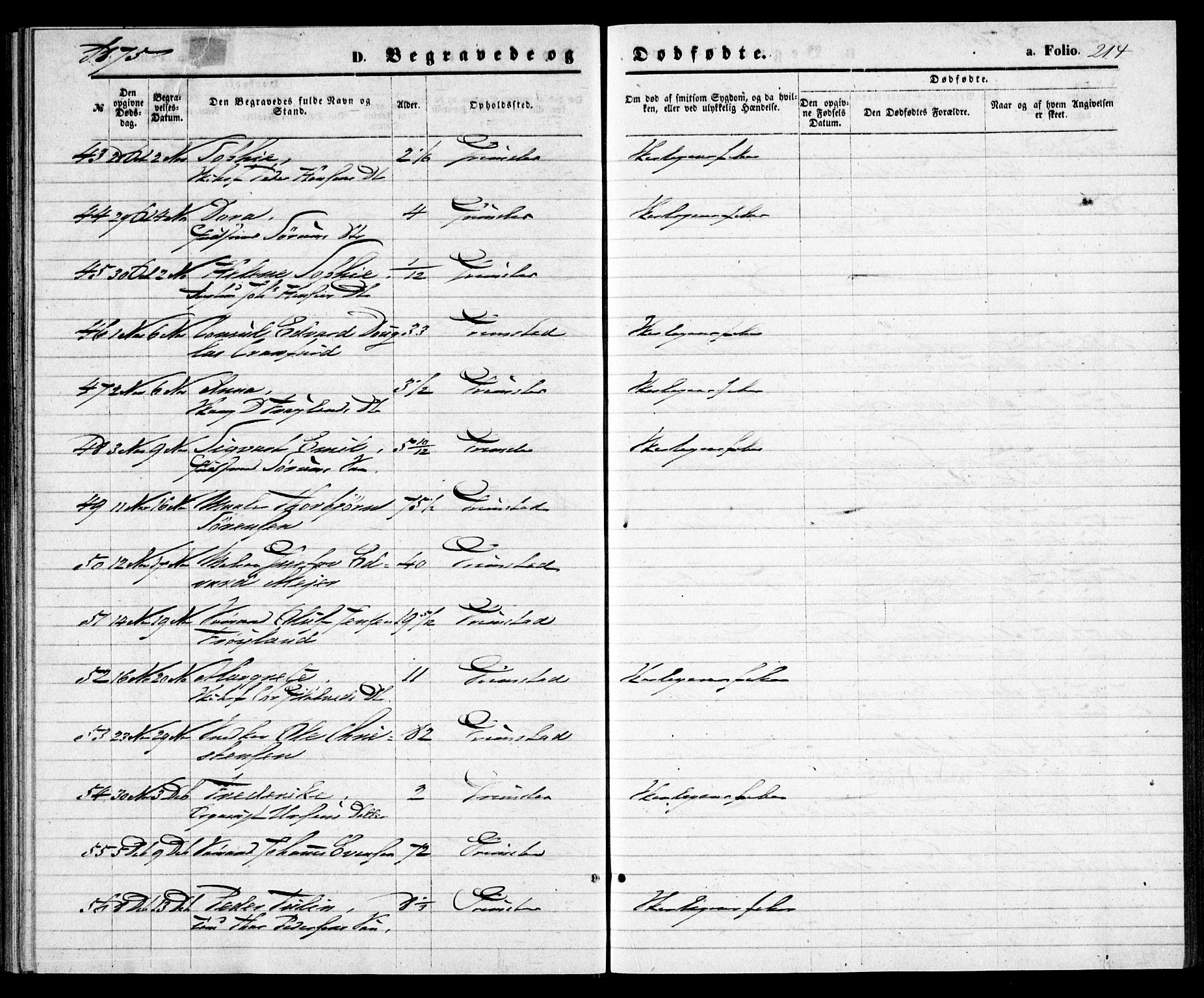 Grimstad sokneprestkontor, SAK/1111-0017/F/Fa/L0002: Parish register (official) no. A 1, 1869-1881, p. 214