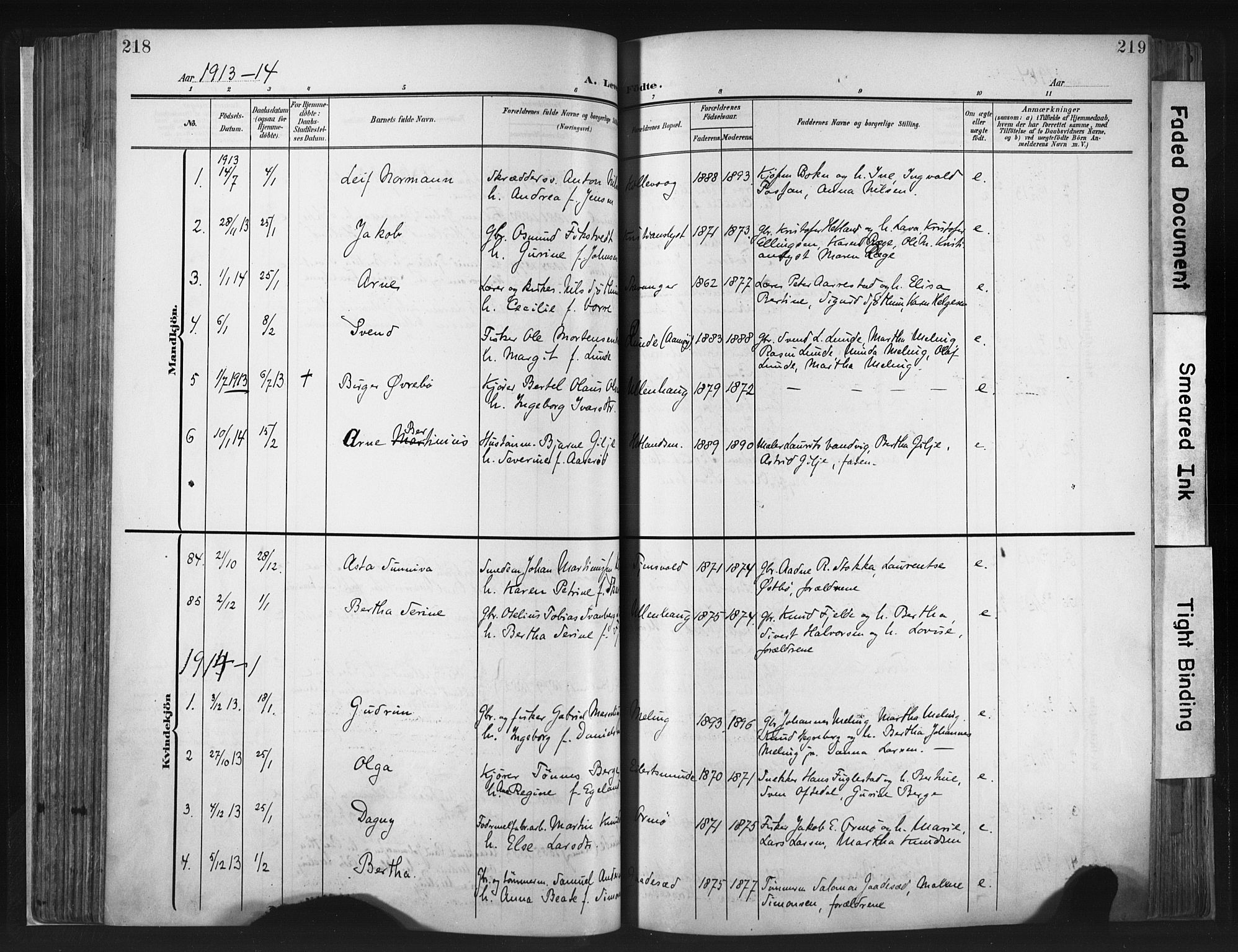 Hetland sokneprestkontor, SAST/A-101826/30/30BA/L0013: Parish register (official) no. A 13, 1904-1918, p. 218-219