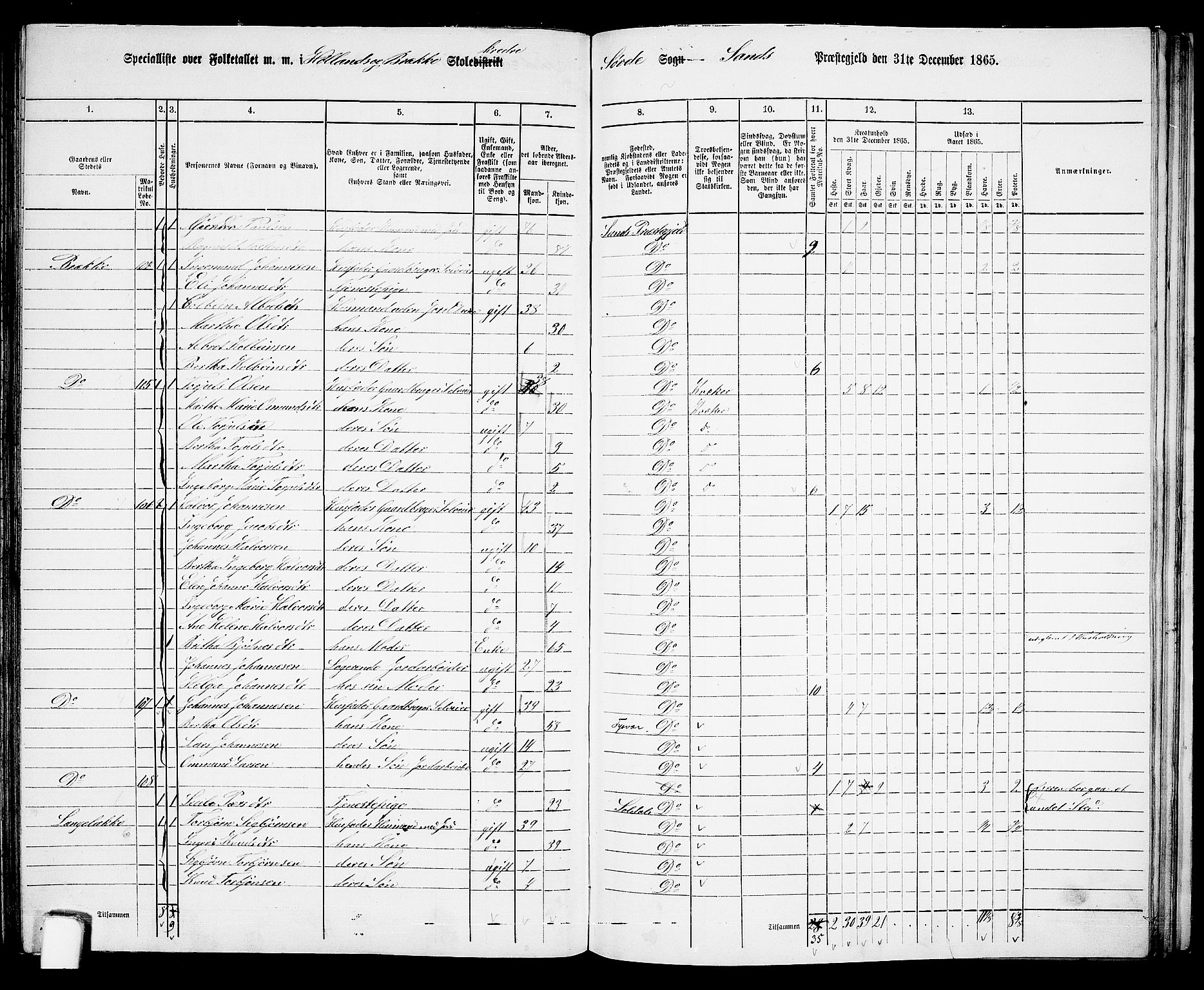 RA, 1865 census for Sand, 1865, p. 122