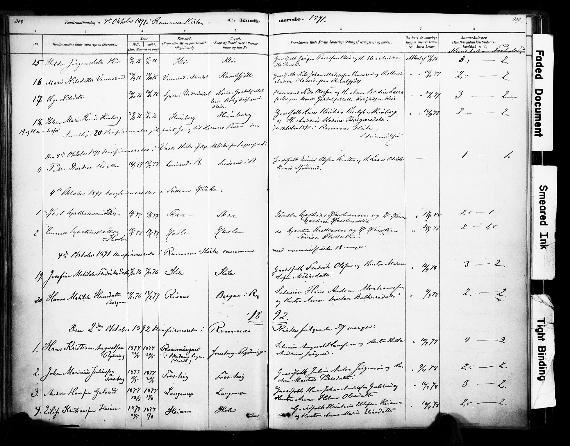 Ramnes kirkebøker, AV/SAKO-A-314/F/Fa/L0007: Parish register (official) no. I 7, 1878-1895, p. 308-309