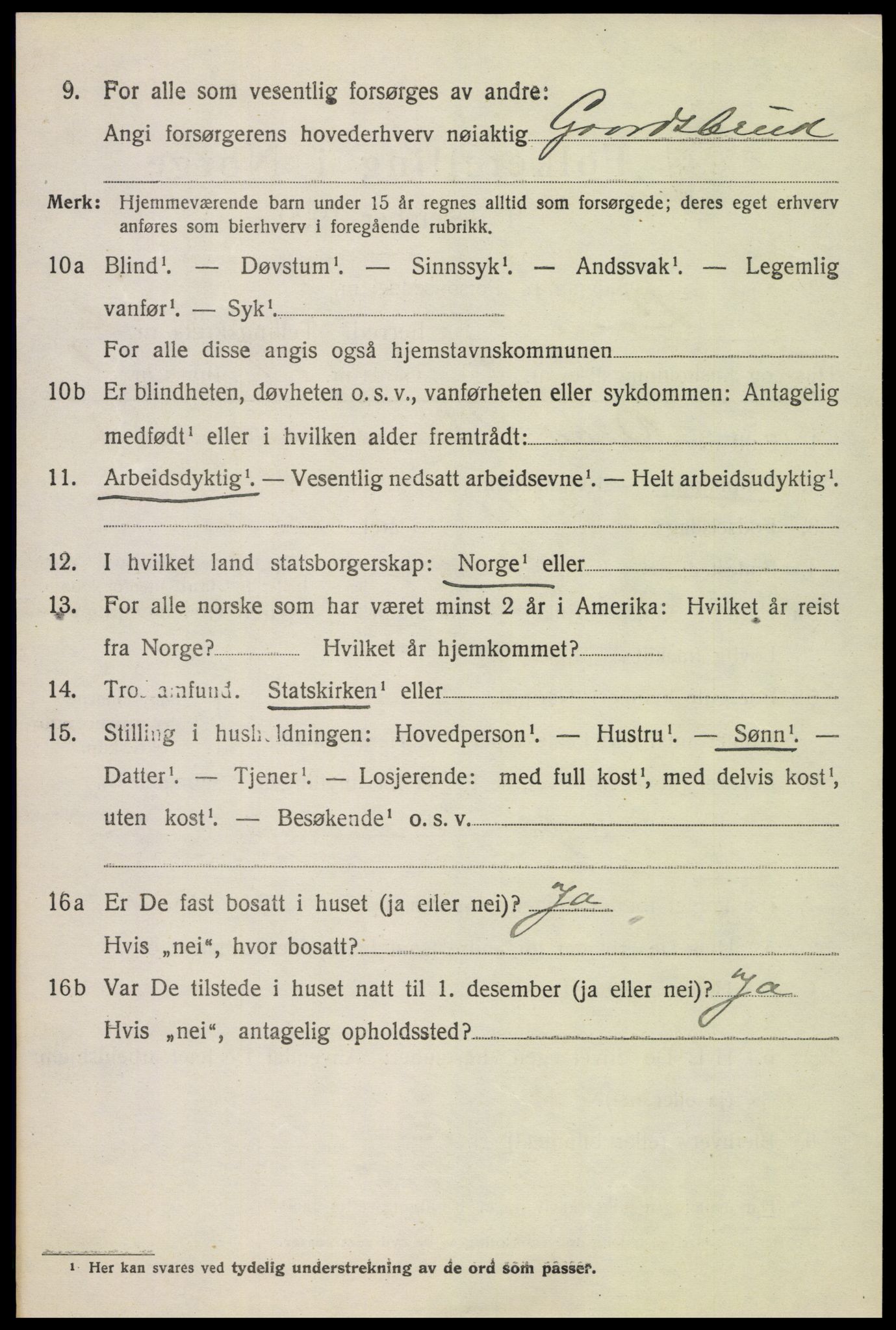 SAH, 1920 census for Lom, 1920, p. 3783