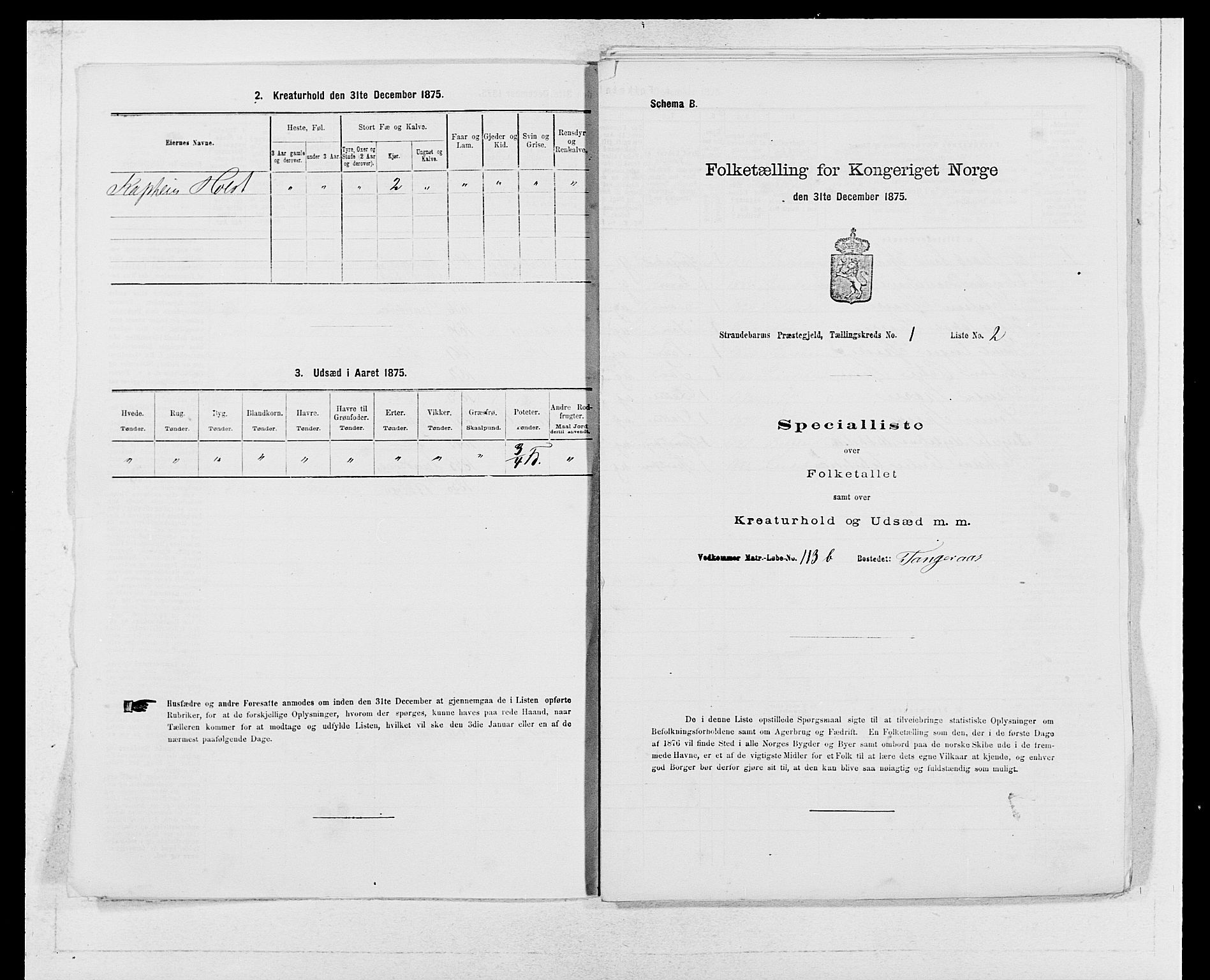 SAB, 1875 census for 1226P Strandebarm, 1875, p. 31