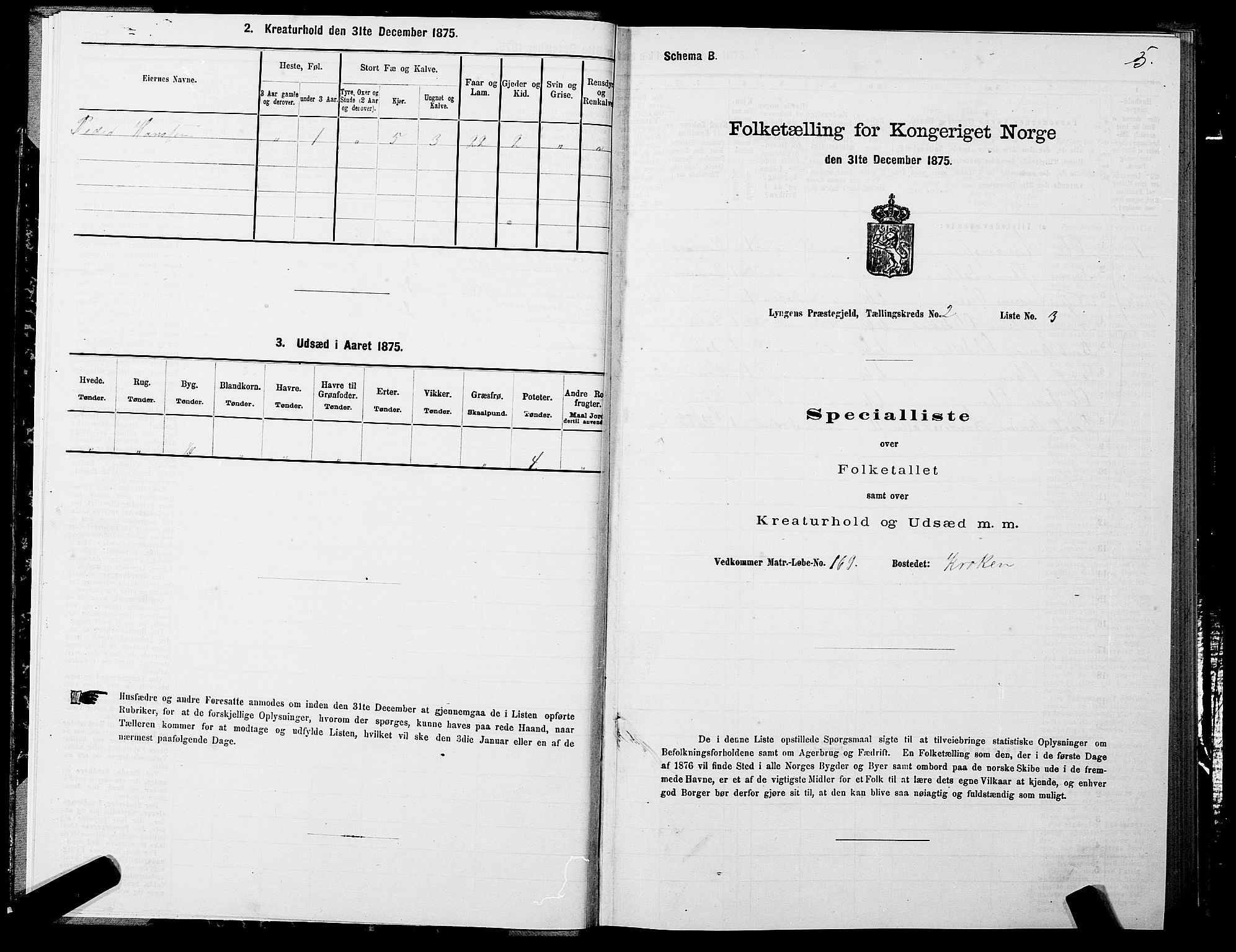 SATØ, 1875 census for 1938P Lyngen, 1875, p. 2005