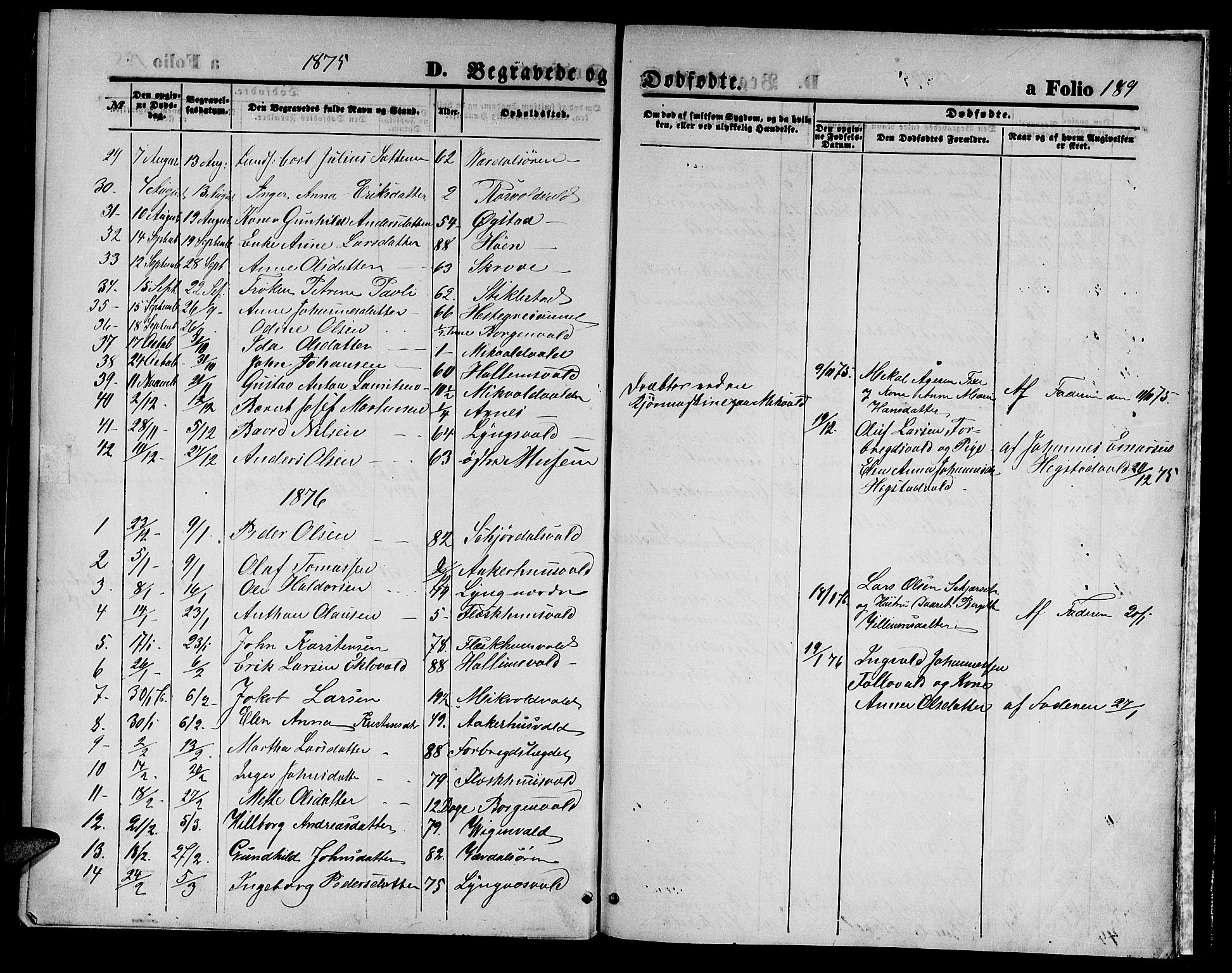 Ministerialprotokoller, klokkerbøker og fødselsregistre - Nord-Trøndelag, SAT/A-1458/723/L0255: Parish register (copy) no. 723C03, 1869-1879, p. 189