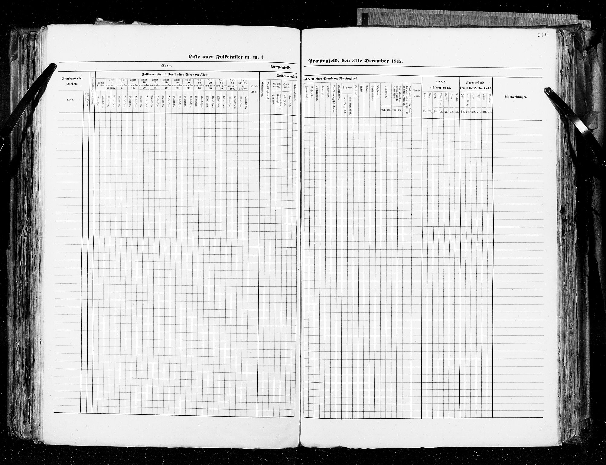 RA, Census 1845, vol. 4: Buskerud amt og Jarlsberg og Larvik amt, 1845, p. 325