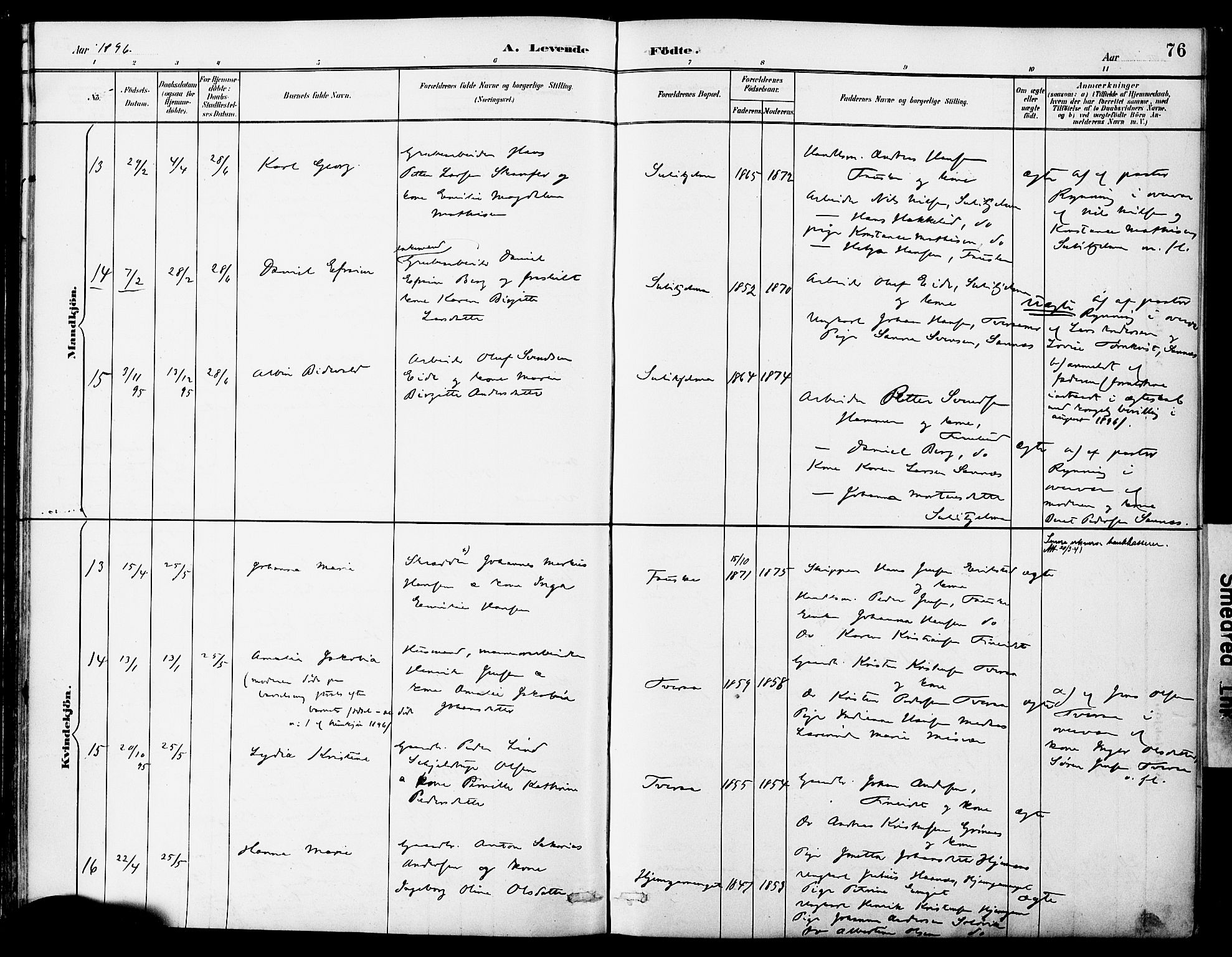 Ministerialprotokoller, klokkerbøker og fødselsregistre - Nordland, AV/SAT-A-1459/849/L0690: Parish register (official) no. 849A02, 1890-1897, p. 76