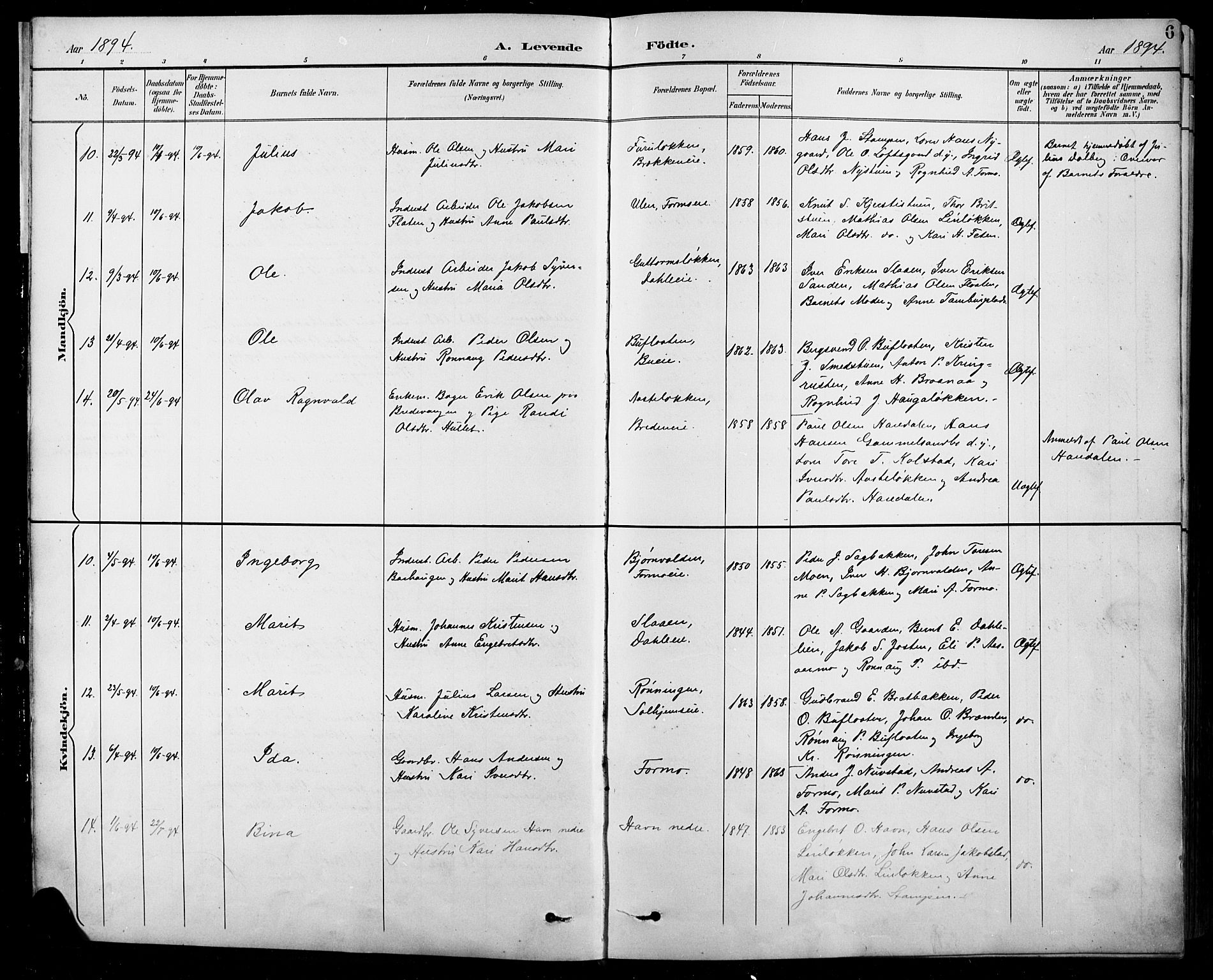 Sel prestekontor, AV/SAH-PREST-074/H/Ha/Hab/L0001: Parish register (copy) no. 1, 1894-1923, p. 6