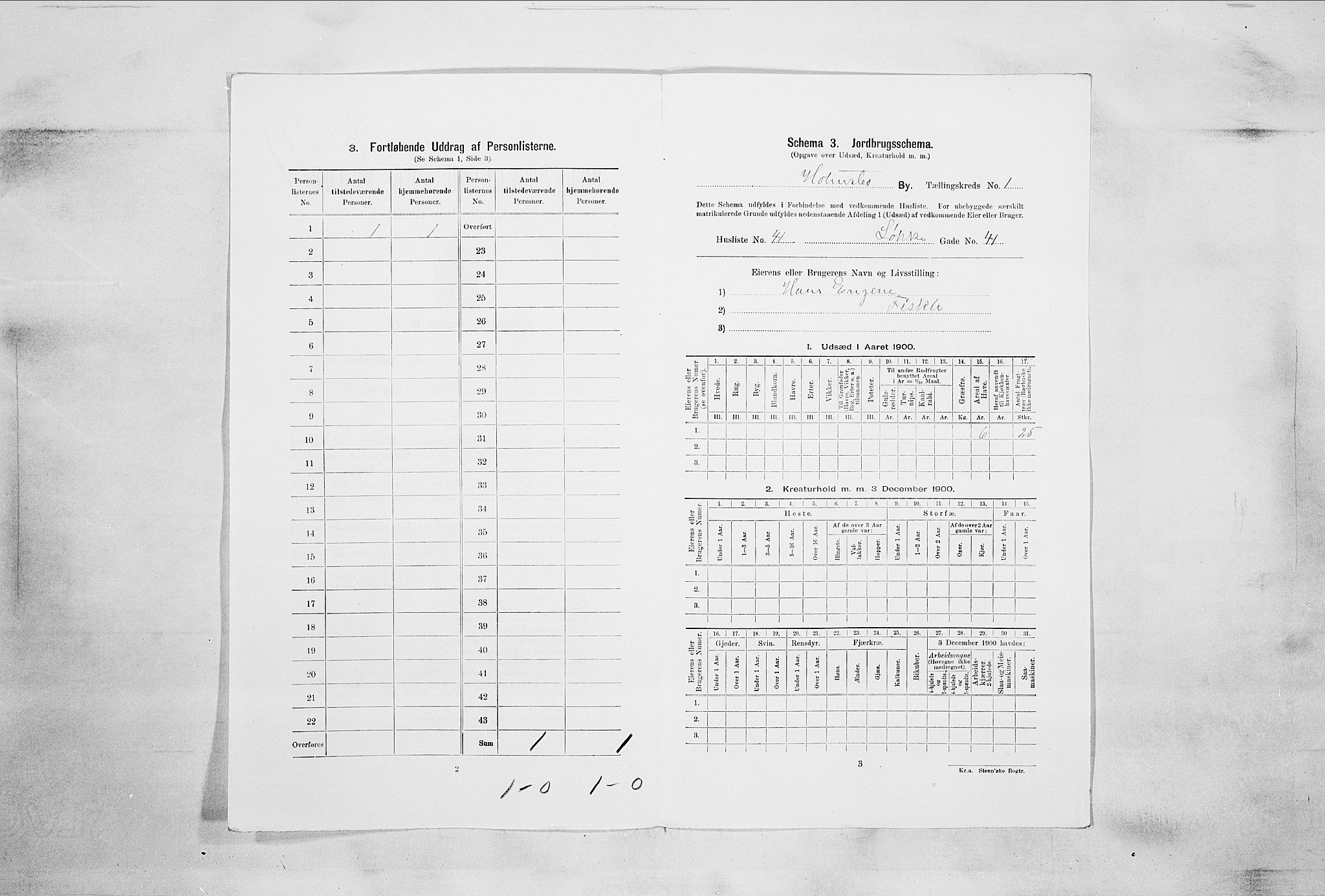 RA, 1900 census for Holmsbu, 1900, p. 29