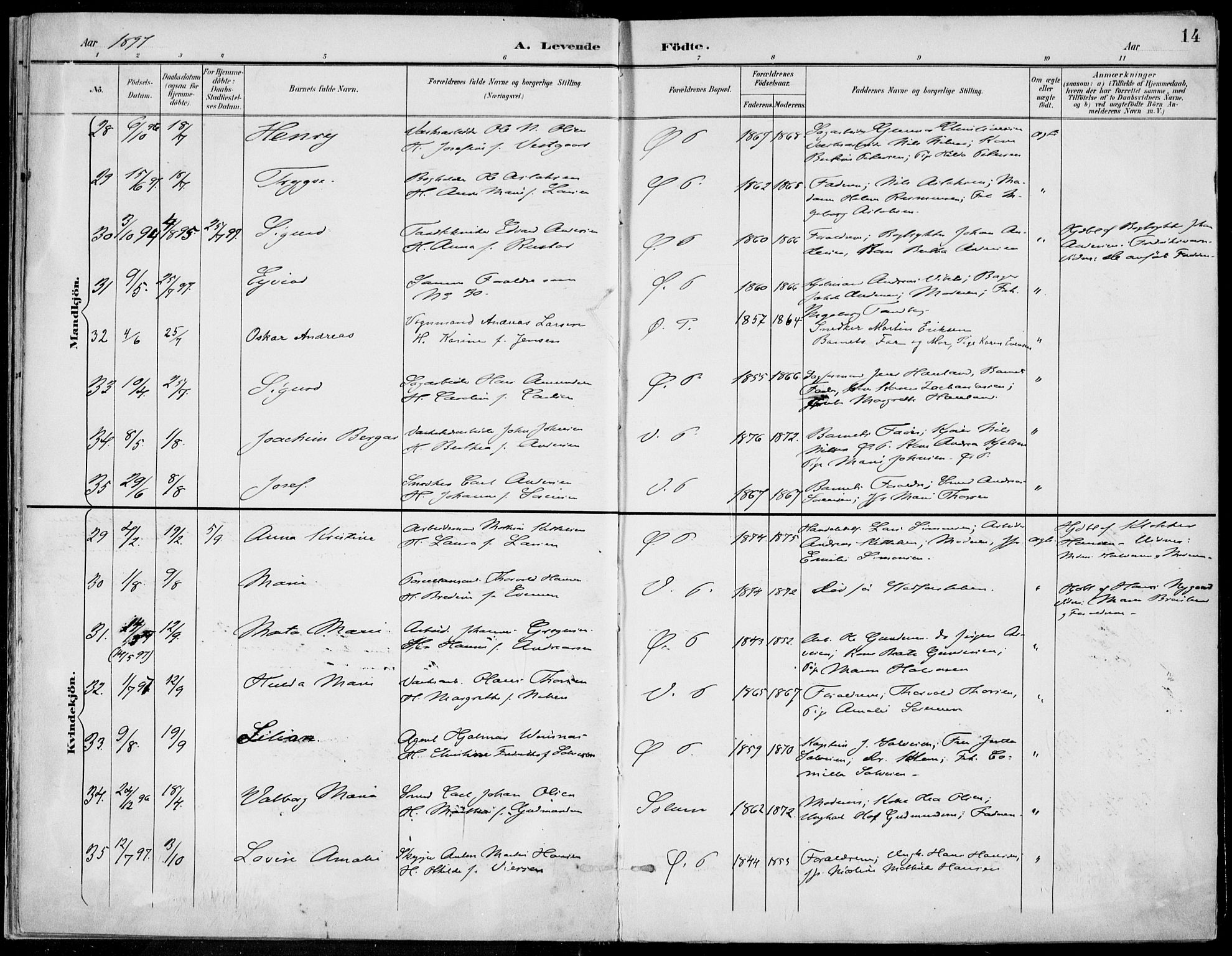 Porsgrunn kirkebøker , AV/SAKO-A-104/F/Fa/L0010: Parish register (official) no. 10, 1895-1919, p. 14