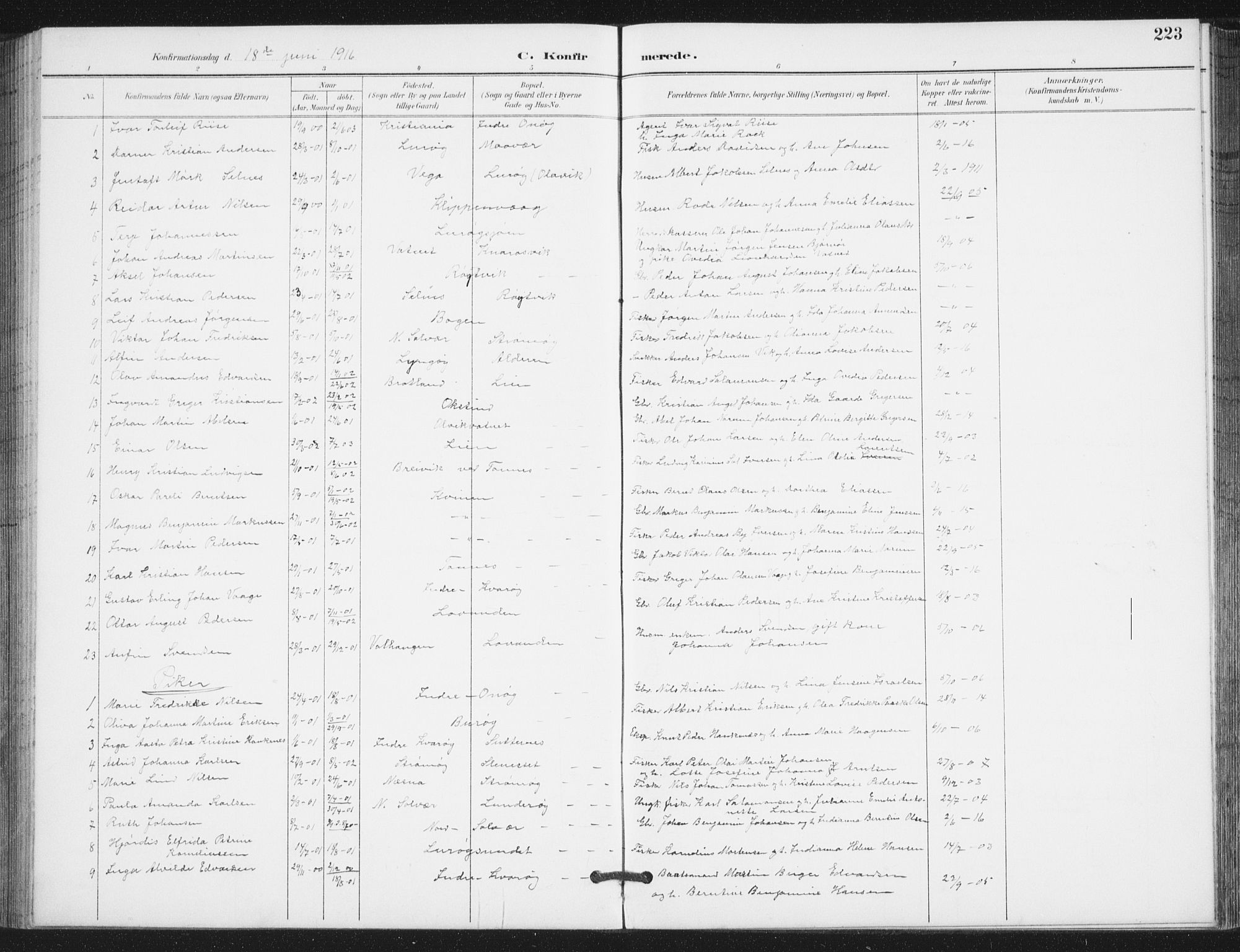 Ministerialprotokoller, klokkerbøker og fødselsregistre - Nordland, SAT/A-1459/839/L0573: Parish register (copy) no. 839C03, 1892-1917, p. 223