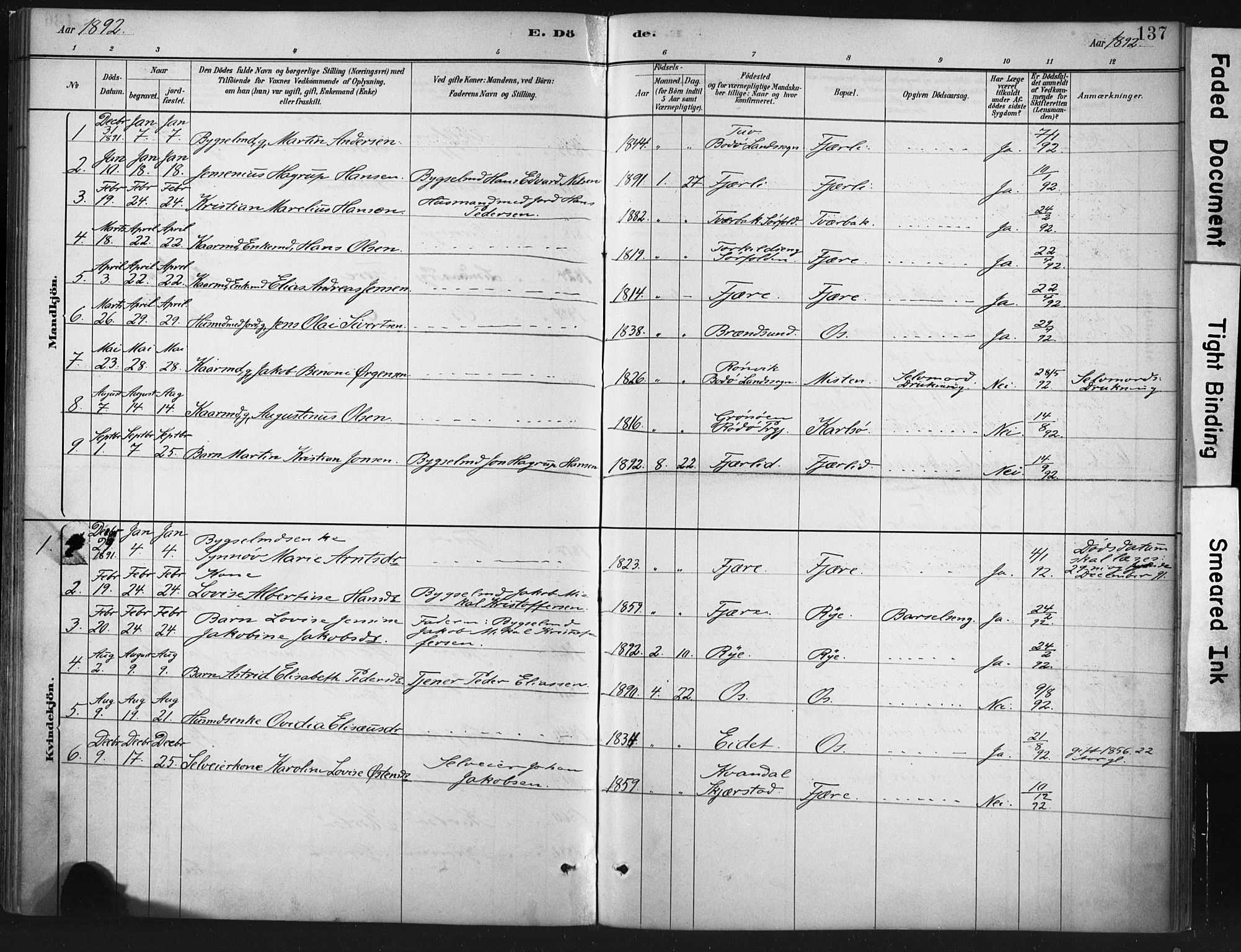 Ministerialprotokoller, klokkerbøker og fødselsregistre - Nordland, AV/SAT-A-1459/803/L0071: Parish register (official) no. 803A01, 1881-1897, p. 137