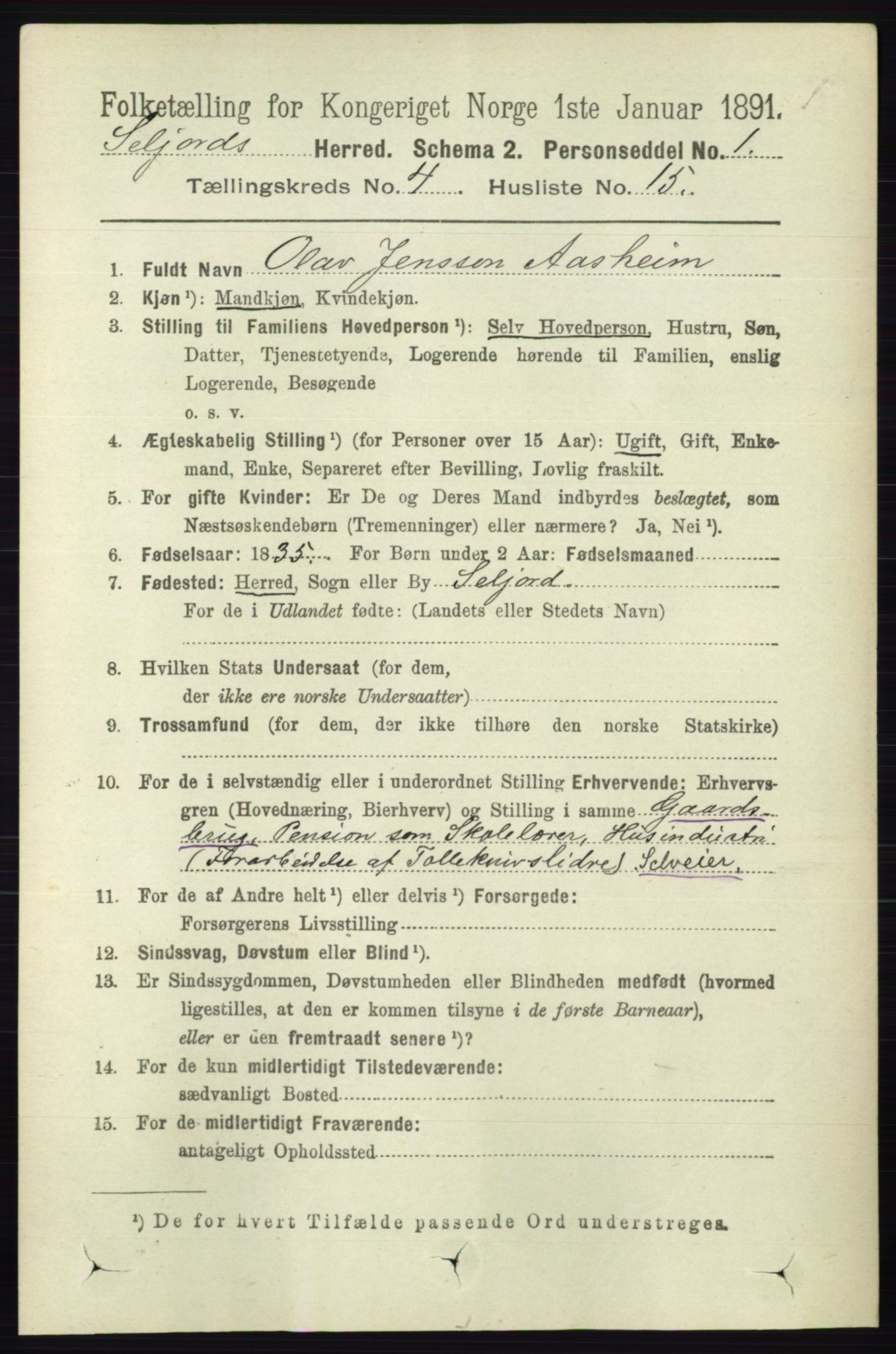 RA, 1891 census for 0828 Seljord, 1891, p. 1369