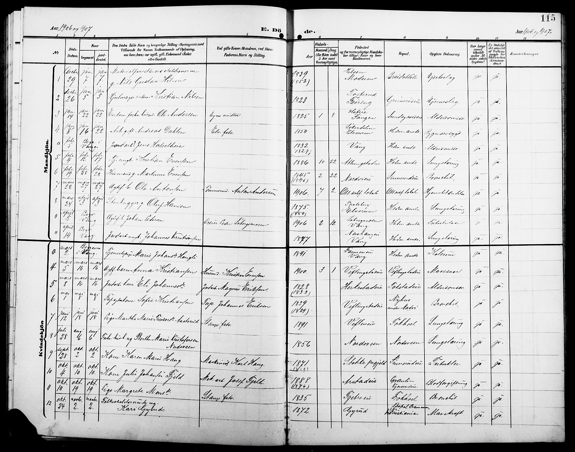 Stange prestekontor, AV/SAH-PREST-002/L/L0013: Parish register (copy) no. 13, 1906-1915, p. 115