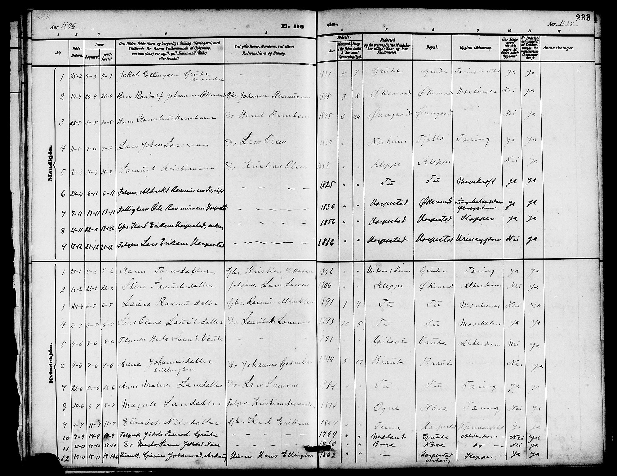 Klepp sokneprestkontor, SAST/A-101803/001/3/30BB/L0004: Parish register (copy) no. B 4, 1889-1914, p. 233