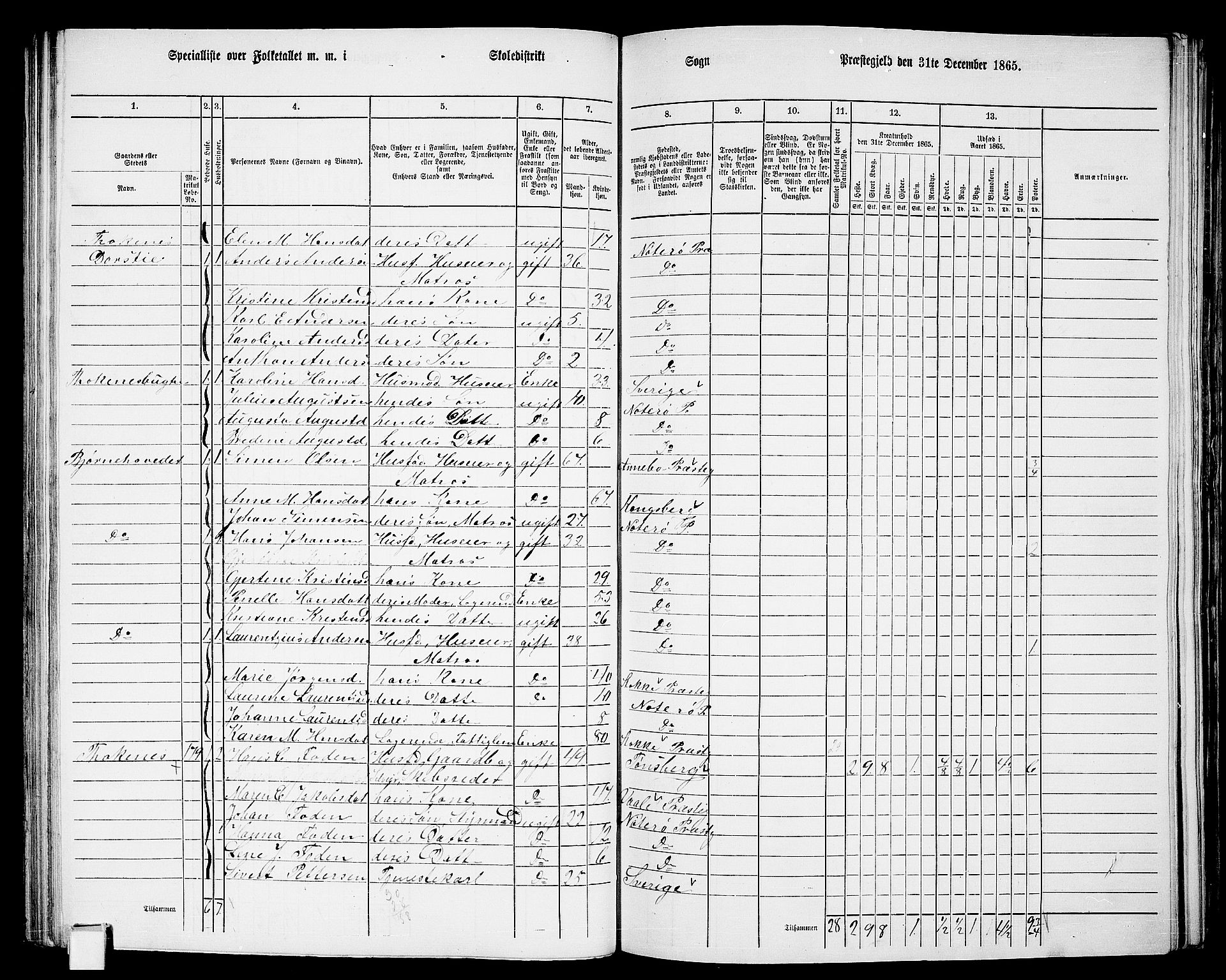 RA, 1865 census for Nøtterøy, 1865, p. 156