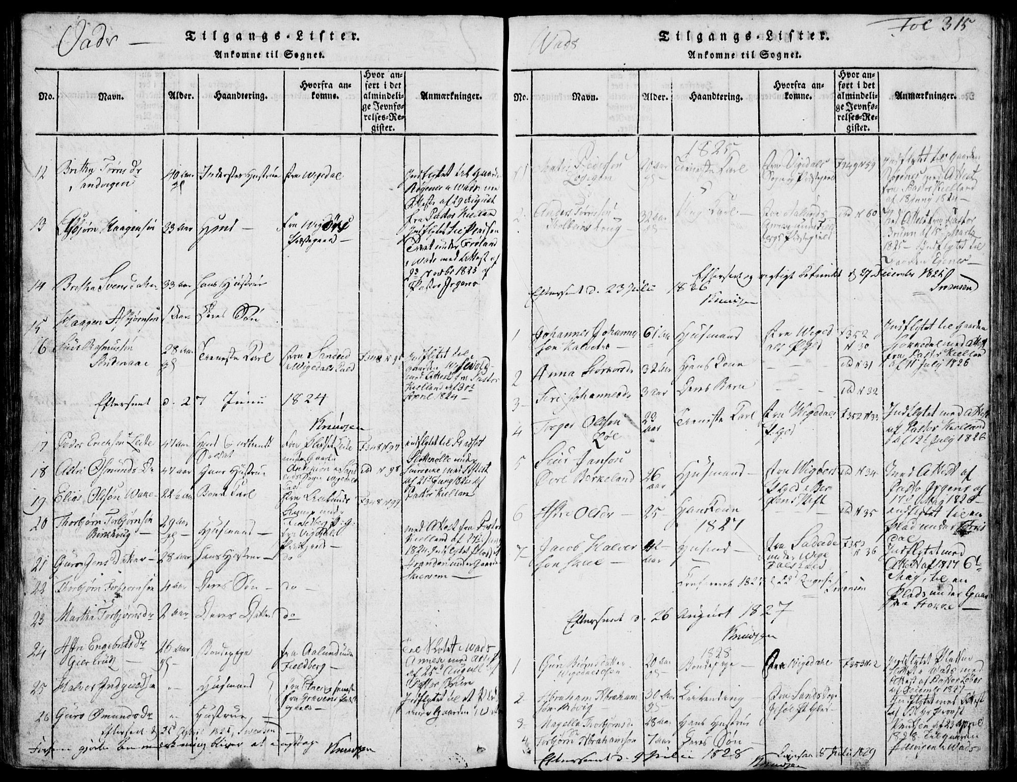 Skjold sokneprestkontor, AV/SAST-A-101847/H/Ha/Hab/L0002: Parish register (copy) no. B 2 /2, 1815-1830, p. 315