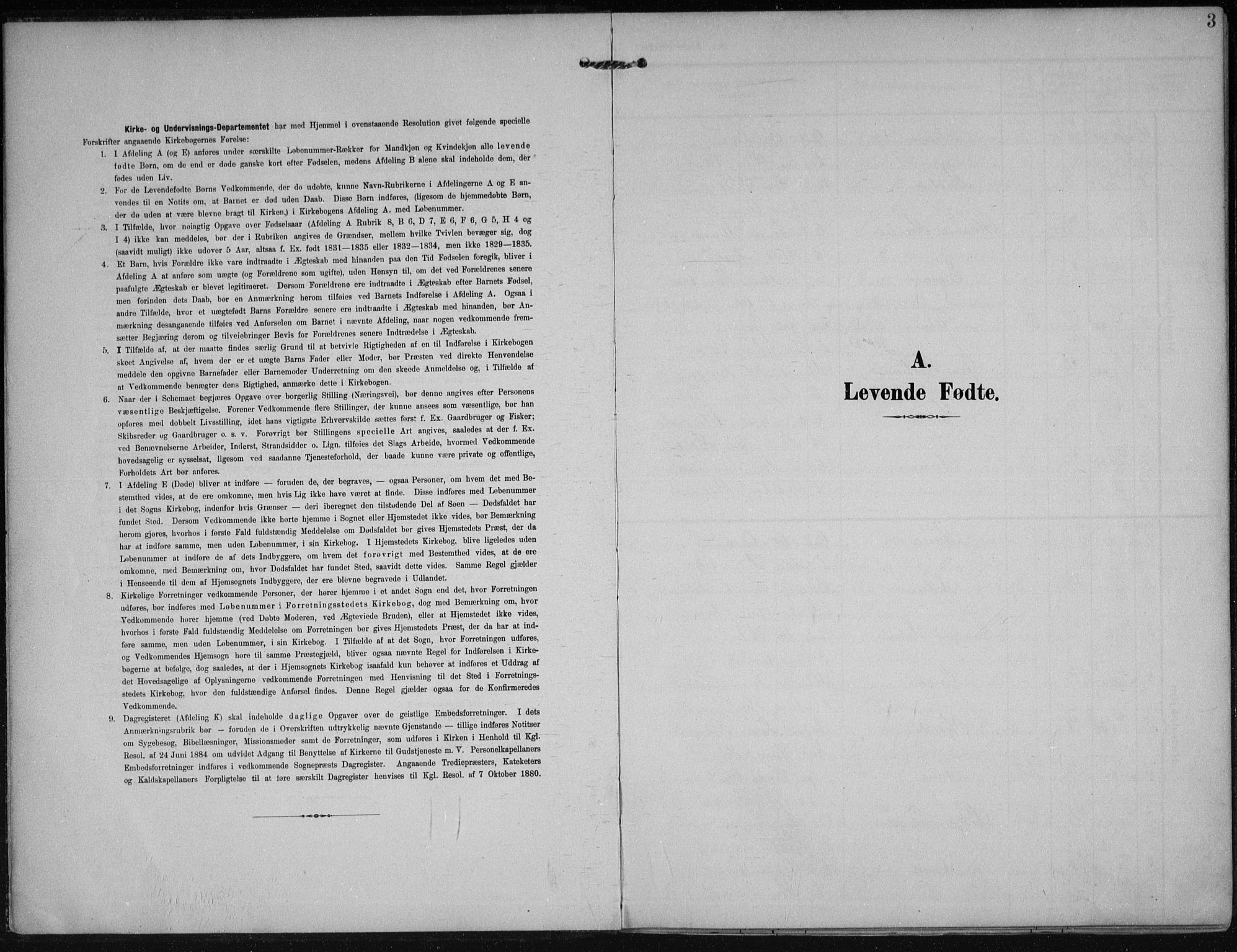 Gjerstad sokneprestkontor, SAK/1111-0014/F/Fa/Faa/L0011: Parish register (official) no. A 11, 1903-1914, p. 3