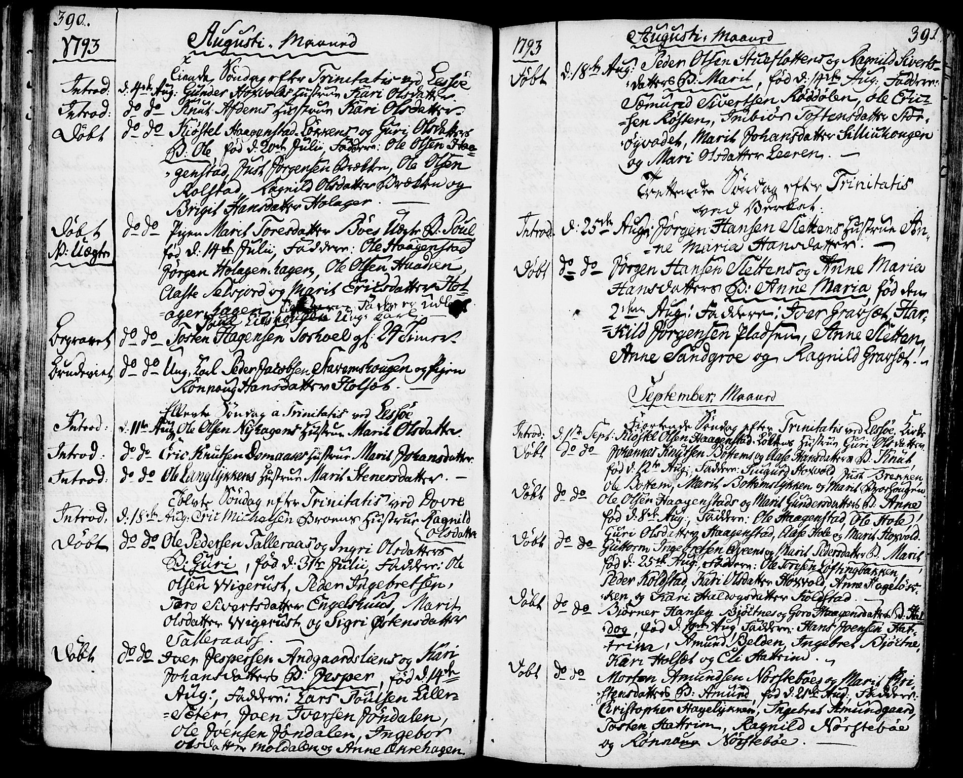 Lesja prestekontor, SAH/PREST-068/H/Ha/Haa/L0003: Parish register (official) no. 3, 1777-1819, p. 390-391