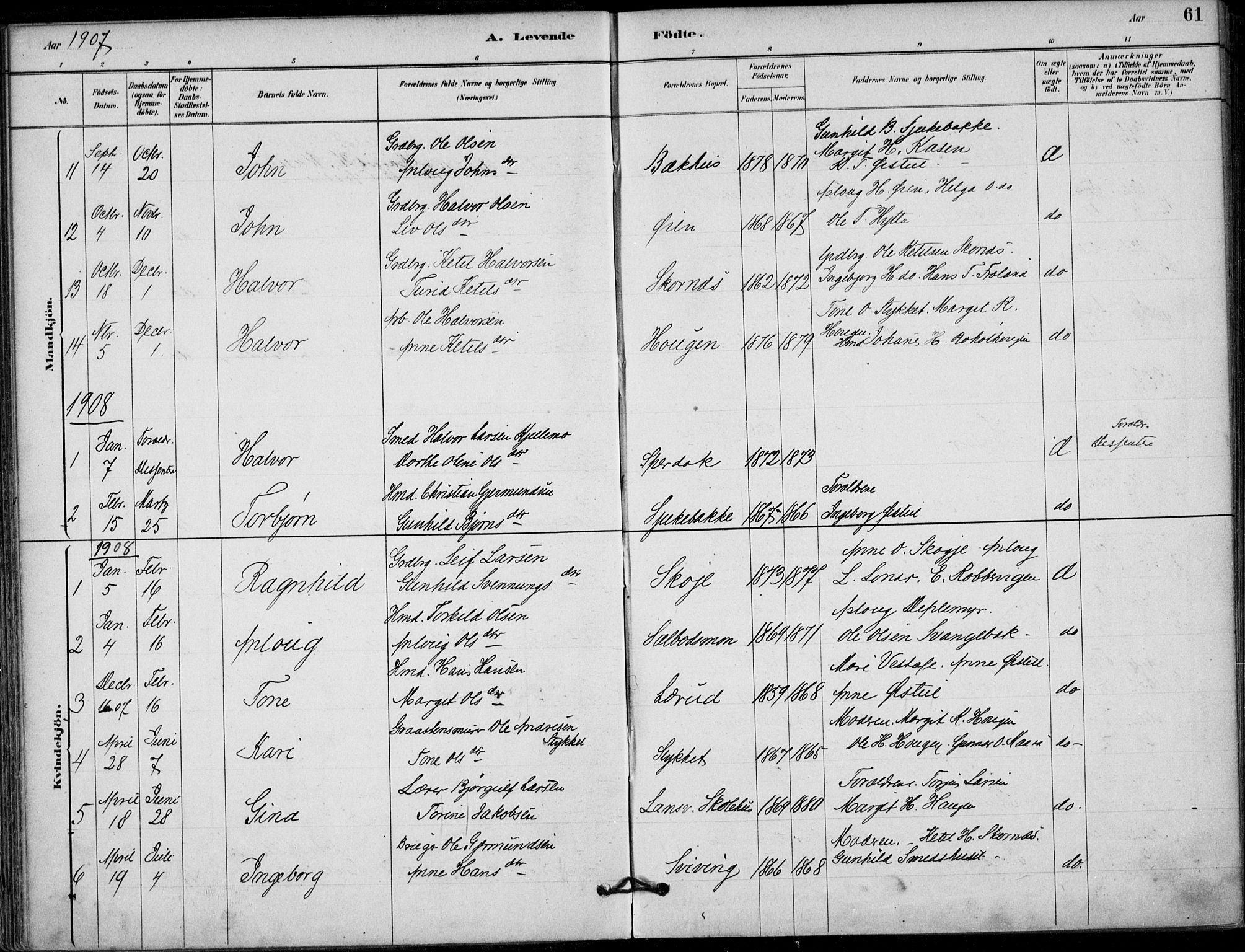 Hjartdal kirkebøker, SAKO/A-270/F/Fb/L0002: Parish register (official) no. II 2, 1880-1932, p. 61