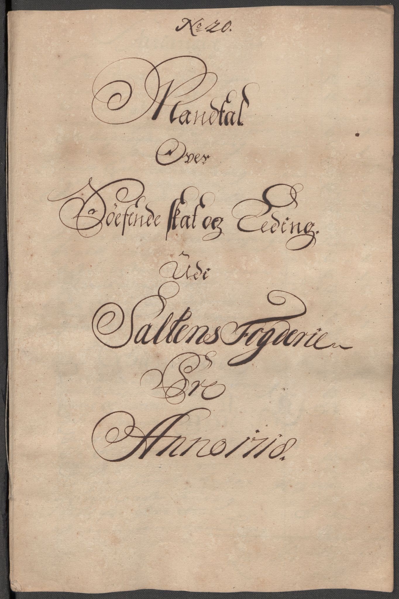 Rentekammeret inntil 1814, Reviderte regnskaper, Fogderegnskap, AV/RA-EA-4092/R66/L4588: Fogderegnskap Salten, 1718, p. 273