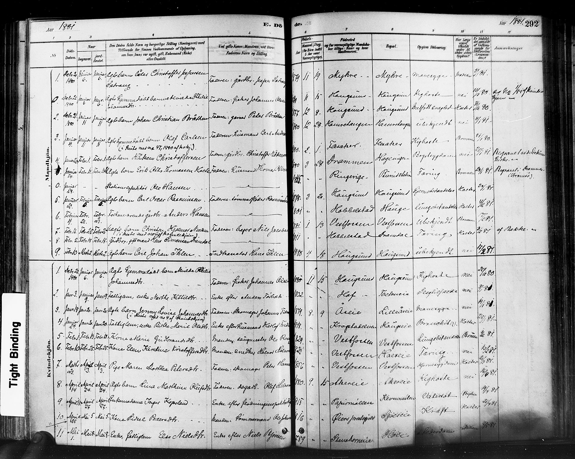 Eiker kirkebøker, SAKO/A-4/F/Fb/L0001: Parish register (official) no. II 1, 1878-1888, p. 292