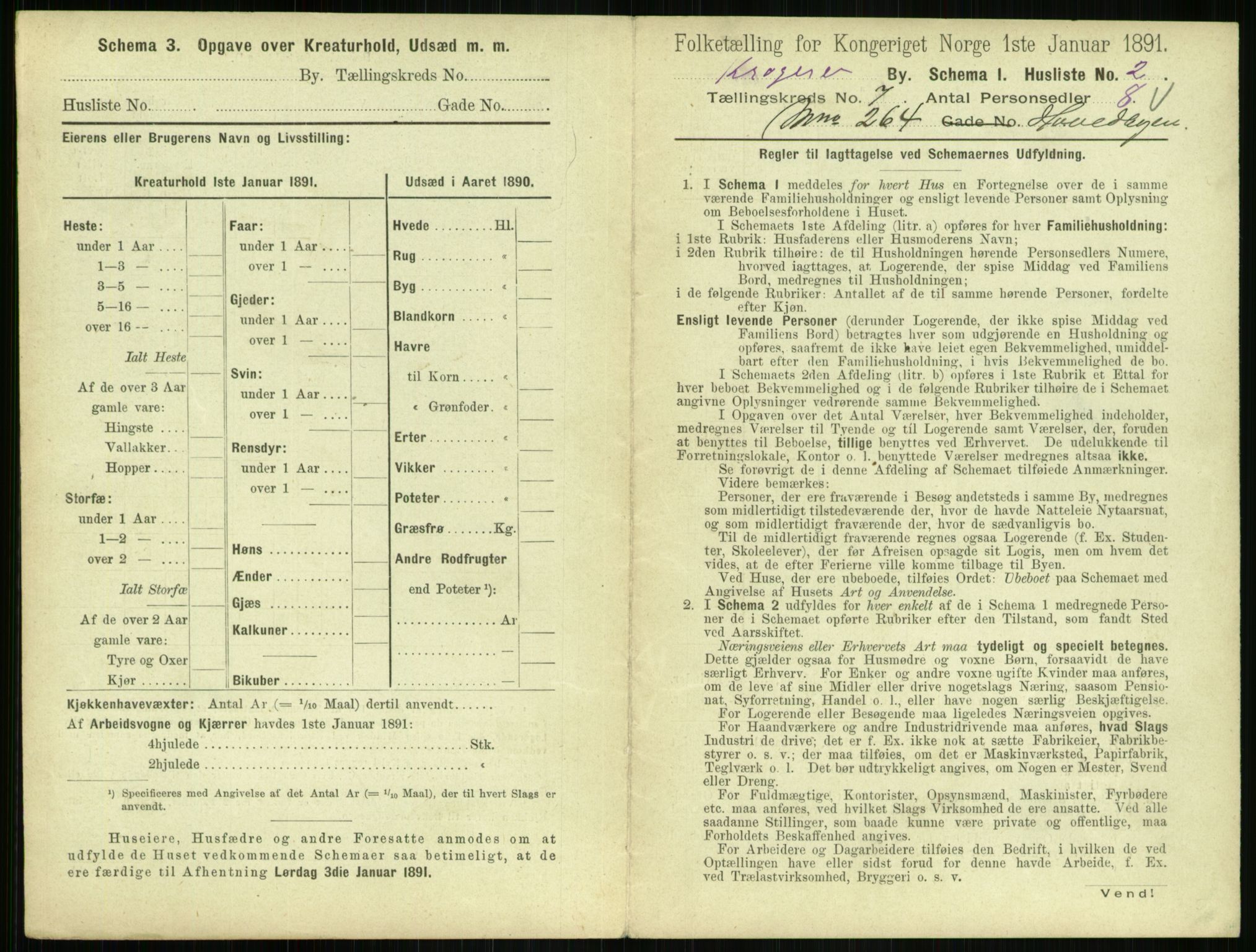 RA, 1891 census for 0801 Kragerø, 1891, p. 518