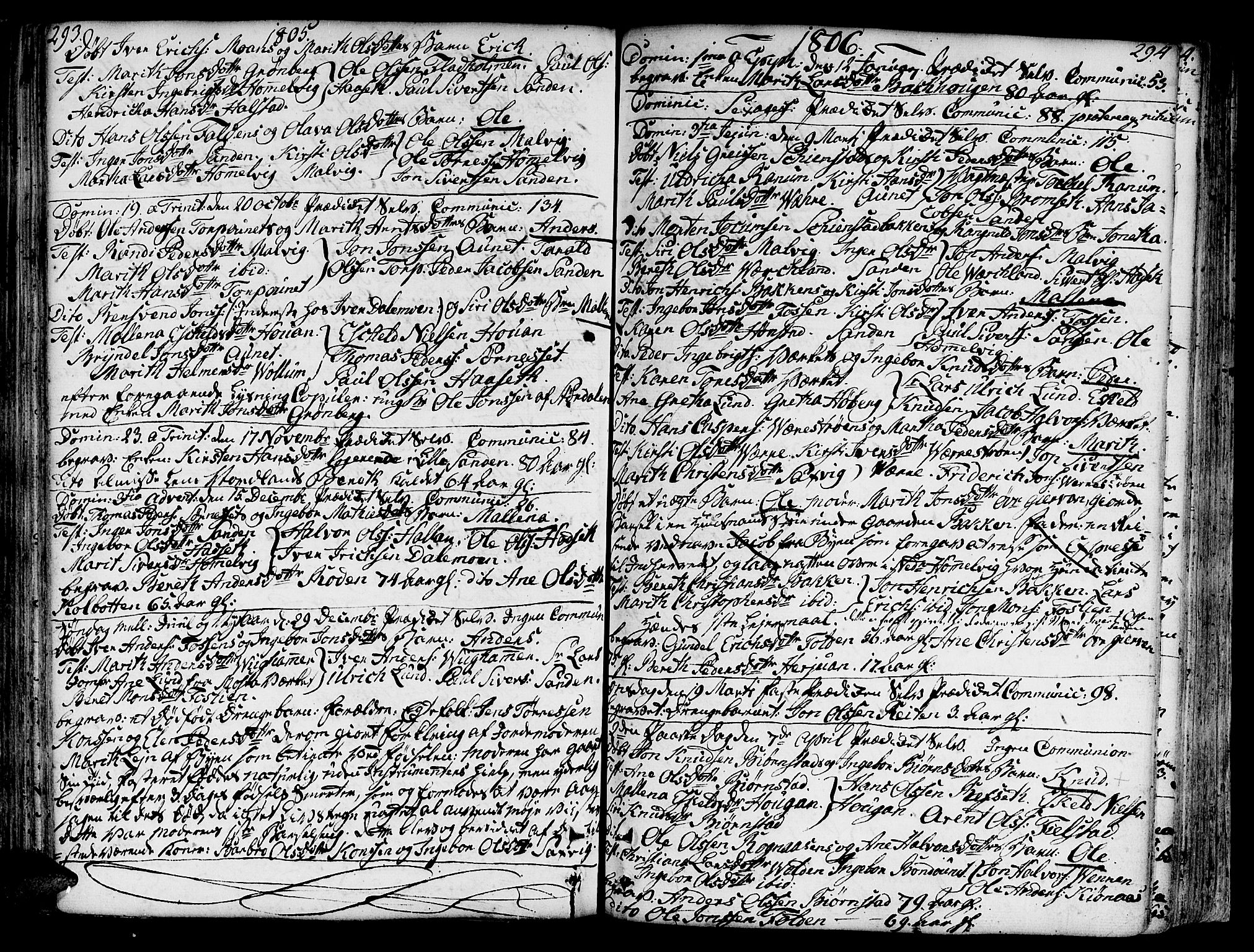 Ministerialprotokoller, klokkerbøker og fødselsregistre - Sør-Trøndelag, SAT/A-1456/606/L0281: Parish register (official) no. 606A02 /2, 1781-1817, p. 293-294