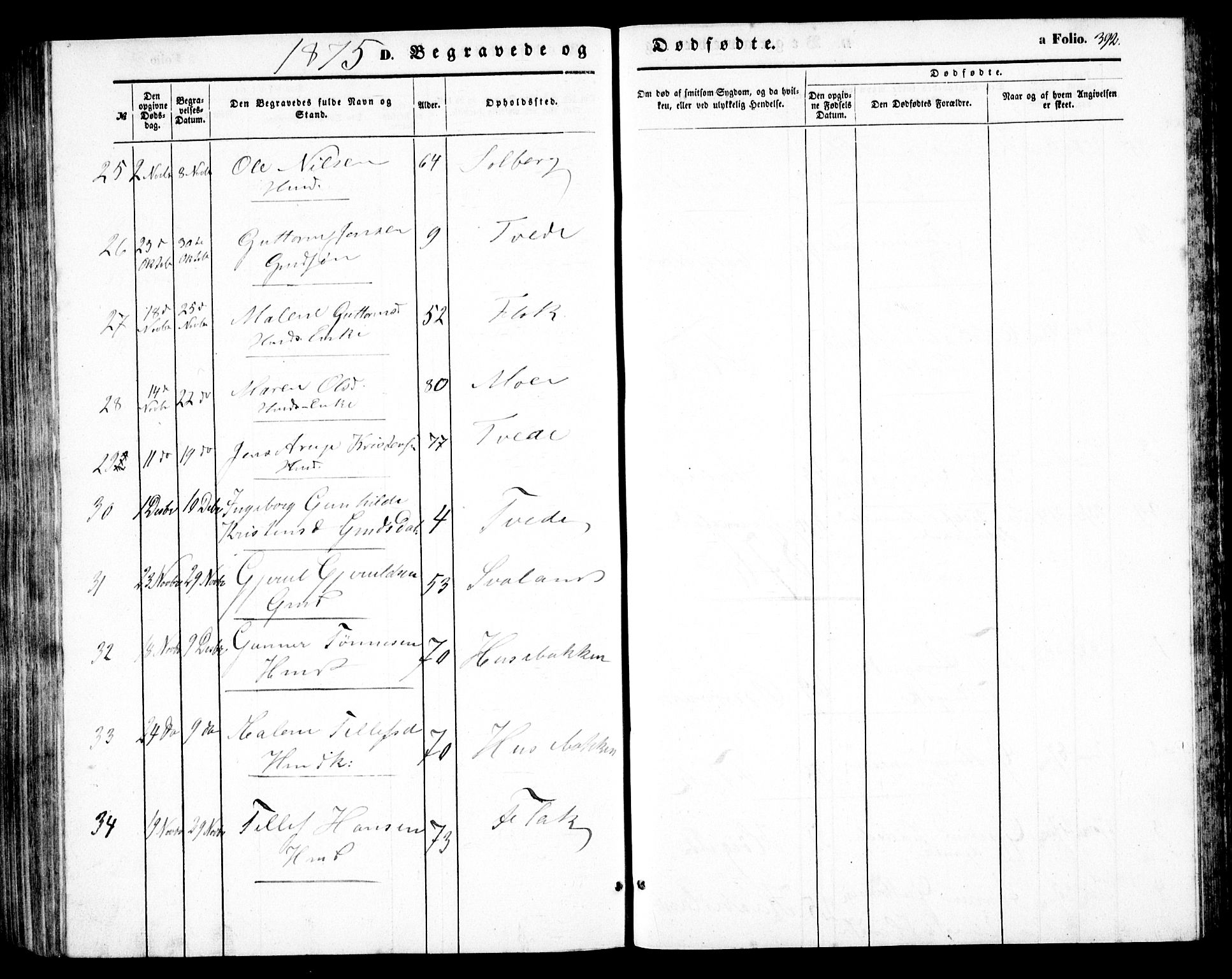 Birkenes sokneprestkontor, AV/SAK-1111-0004/F/Fb/L0002: Parish register (copy) no. B 2, 1849-1876, p. 392