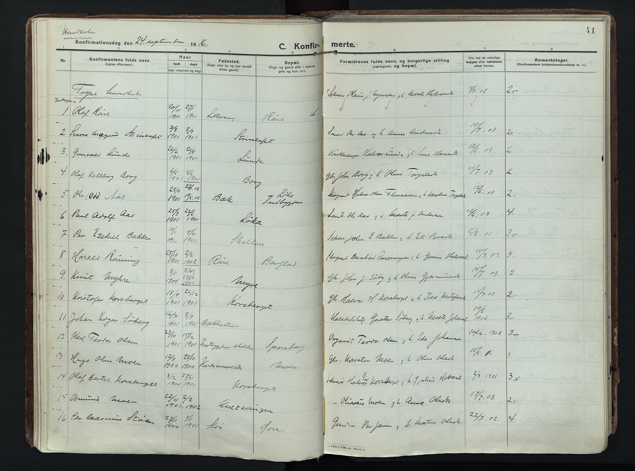 Trysil prestekontor, AV/SAH-PREST-046/H/Ha/Haa/L0014: Parish register (official) no. 14, 1912-1923, p. 41