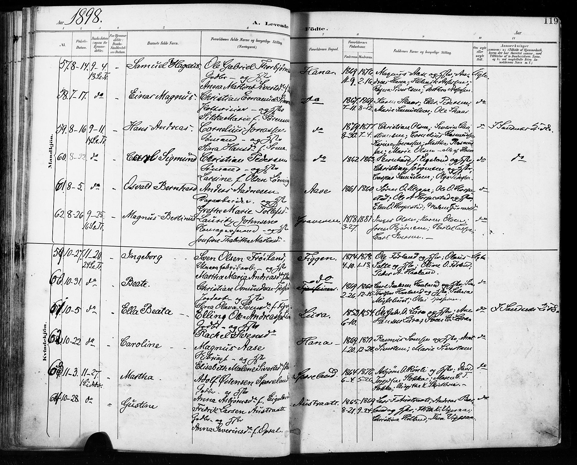 Høyland sokneprestkontor, SAST/A-101799/001/30BA/L0013: Parish register (official) no. A 13.1, 1889-1898, p. 119