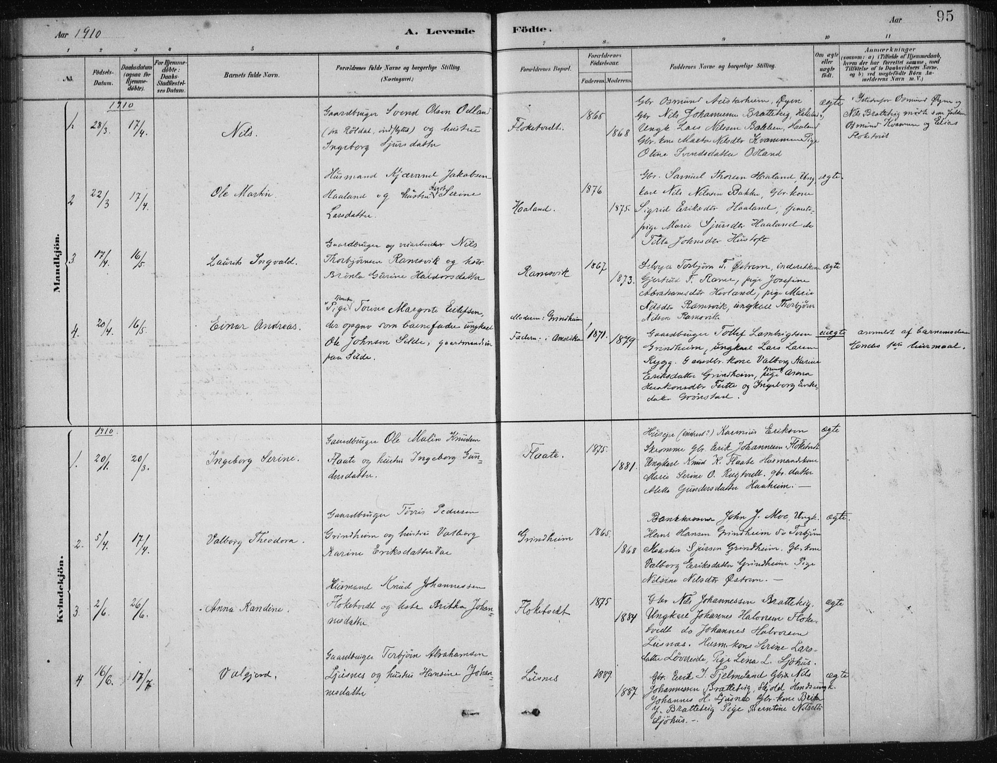 Etne sokneprestembete, AV/SAB-A-75001/H/Haa: Parish register (official) no. D  1, 1879-1919, p. 95