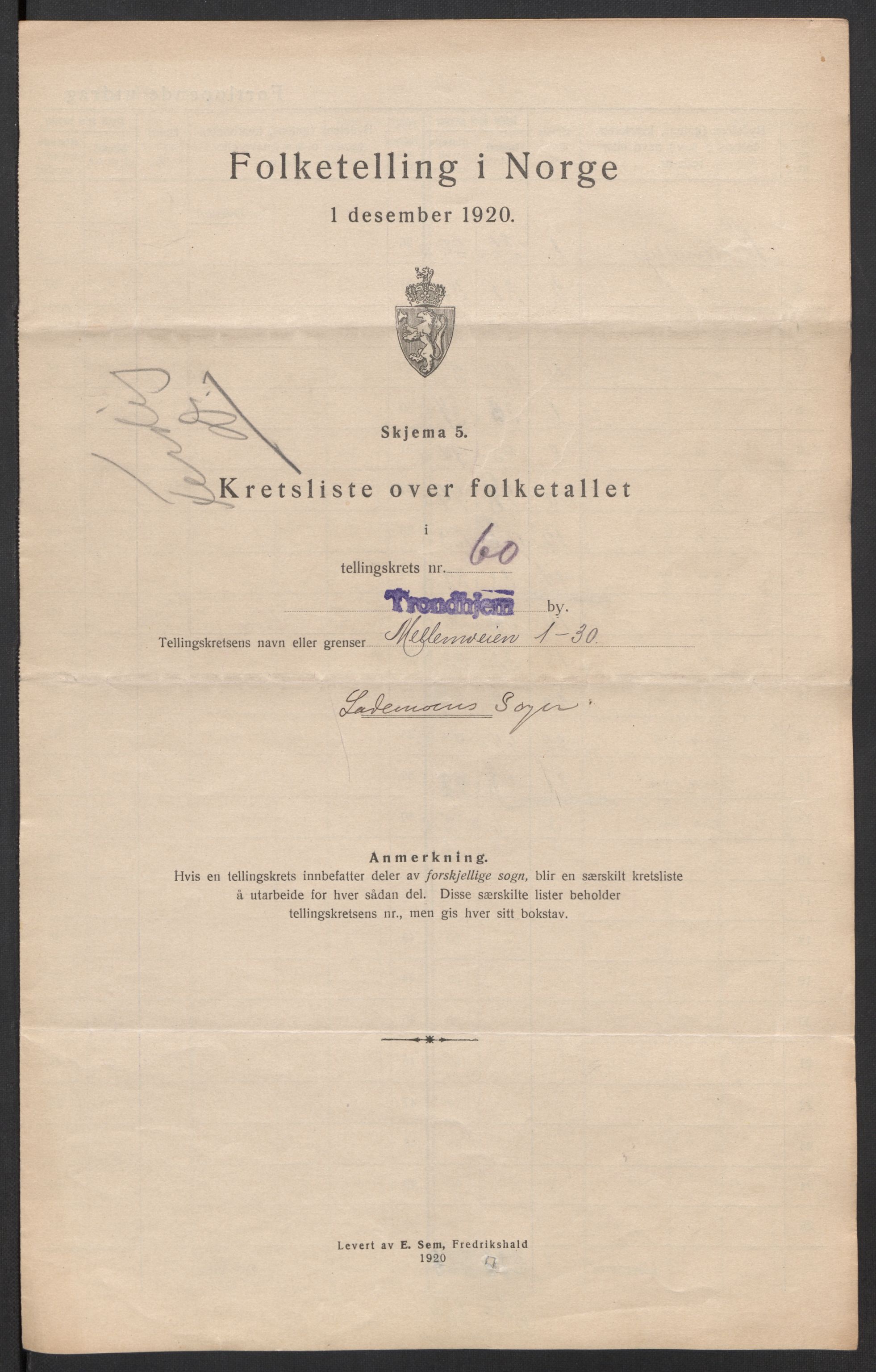 SAT, 1920 census for Trondheim, 1920, p. 194