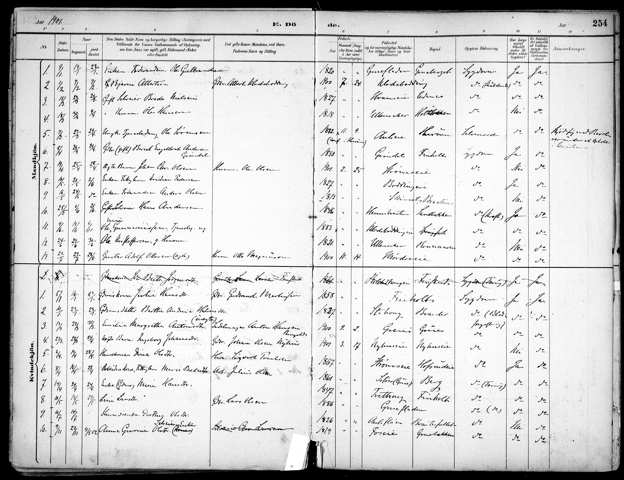 Nes prestekontor Kirkebøker, SAO/A-10410/F/Fc/L0002: Parish register (official) no. IIi 2, 1882-1916, p. 254