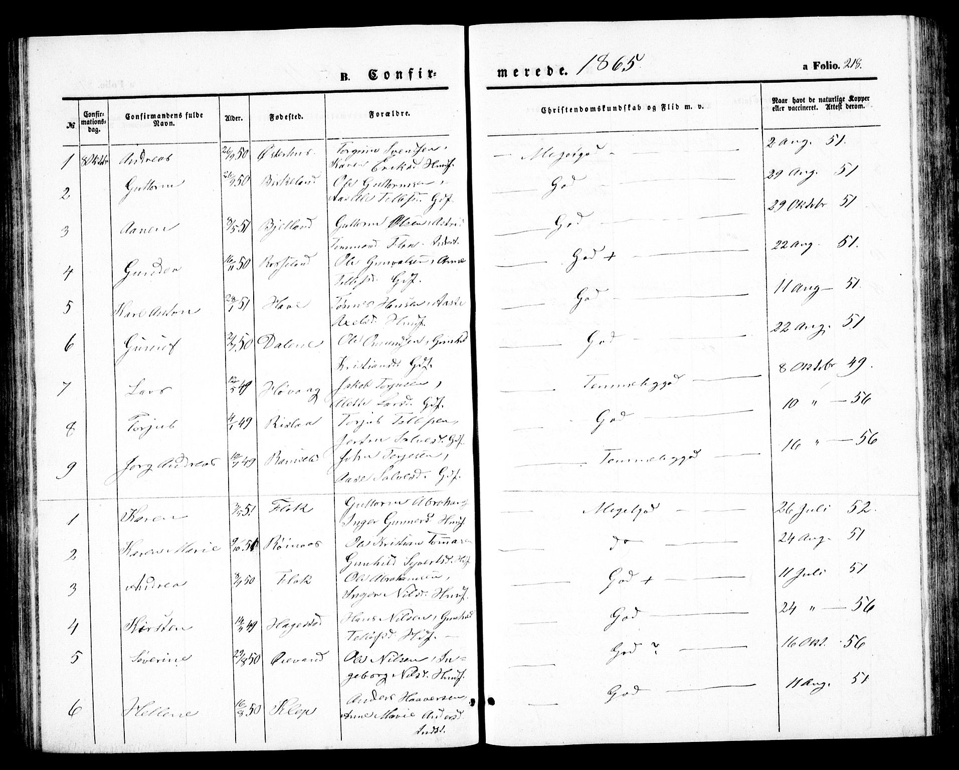 Birkenes sokneprestkontor, SAK/1111-0004/F/Fb/L0002: Parish register (copy) no. B 2, 1849-1876, p. 218