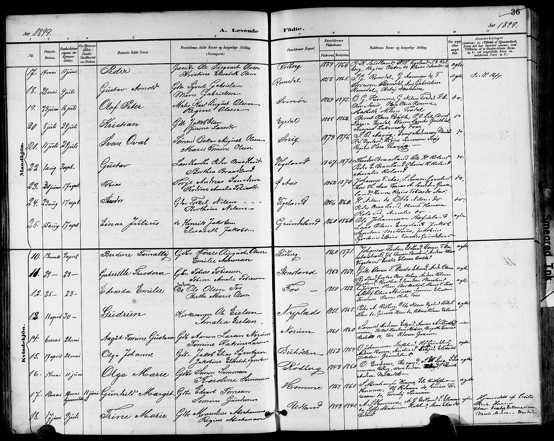 Sør-Audnedal sokneprestkontor, AV/SAK-1111-0039/F/Fb/Fbb/L0006: Parish register (copy) no. B 6, 1893-1915, p. 36